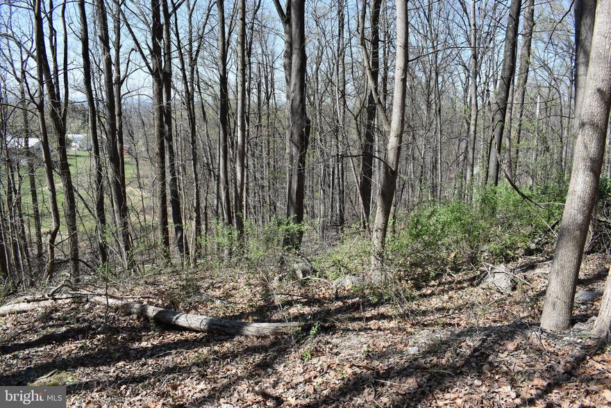 6 Contiguous Parcels on Red Maple totaling approximately 3/4 acre with public water serving the area.  There are multiple build sites.  Buyer responsible for obtaining health dept records to determine if Perc is on file.  Seller has never resided on the property.  Great views and easy access from Oak Lane off Chestnut Hill Rd.  Do not enter from Main Westridge Hills Entry.  It is much fast and easier to enter on Oak.