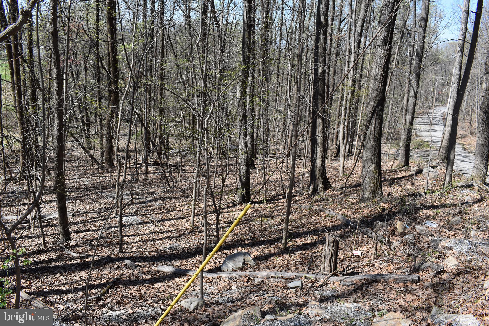 WESTRIDGE HILLS - Land