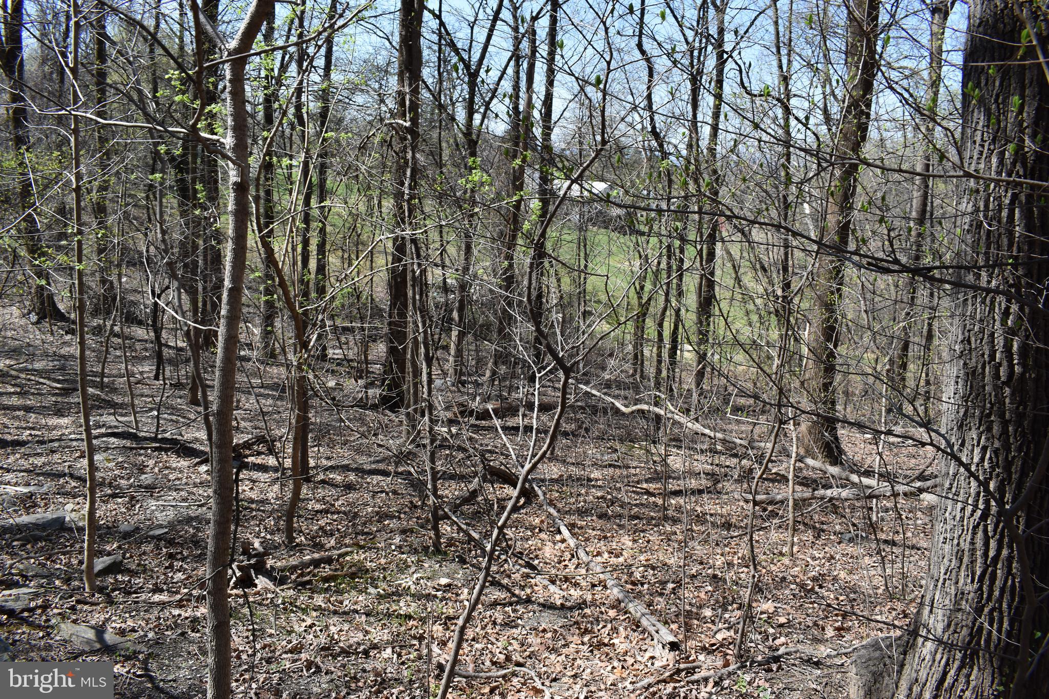 WESTRIDGE HILLS - Land