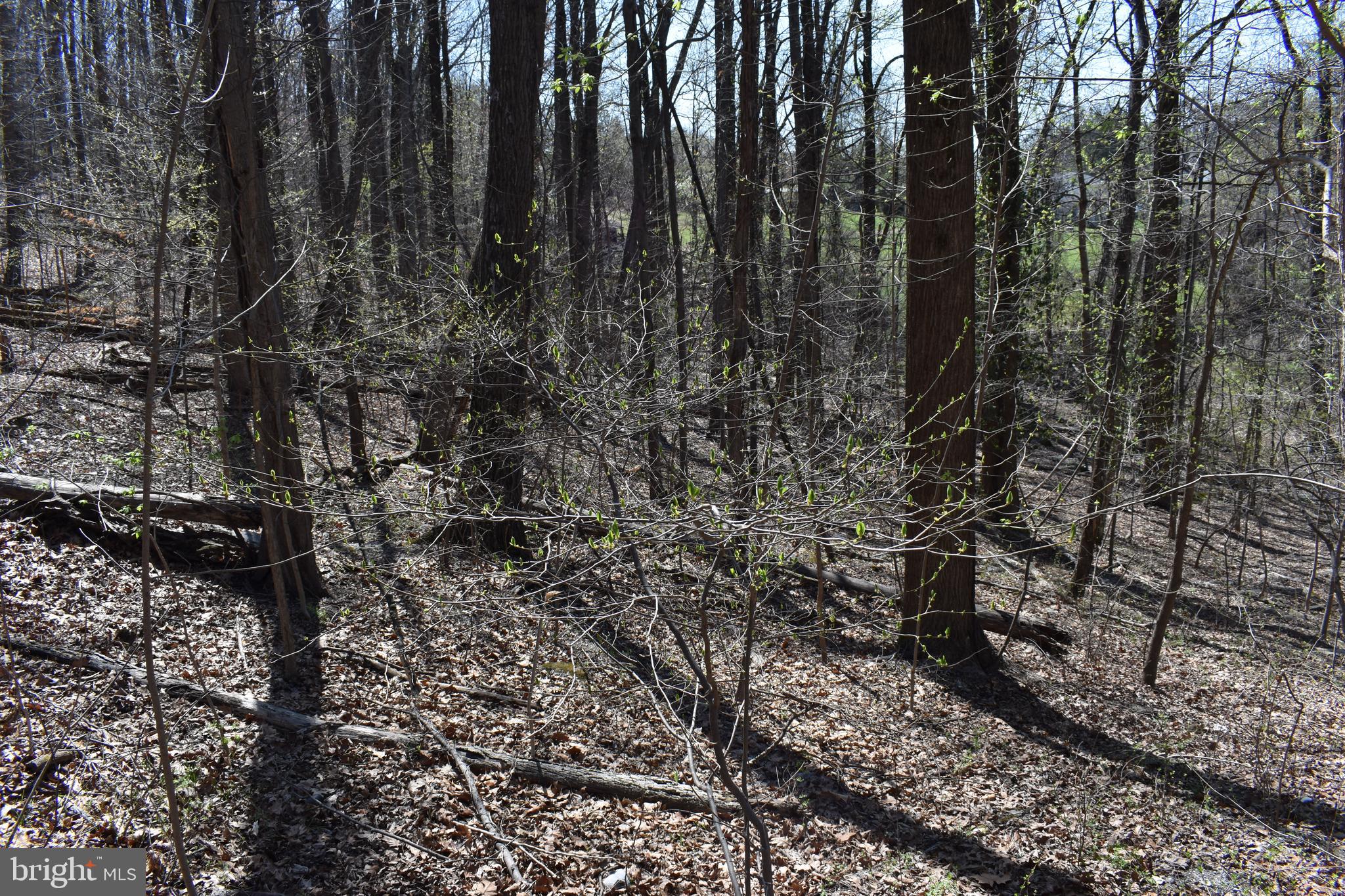 WESTRIDGE HILLS - Land