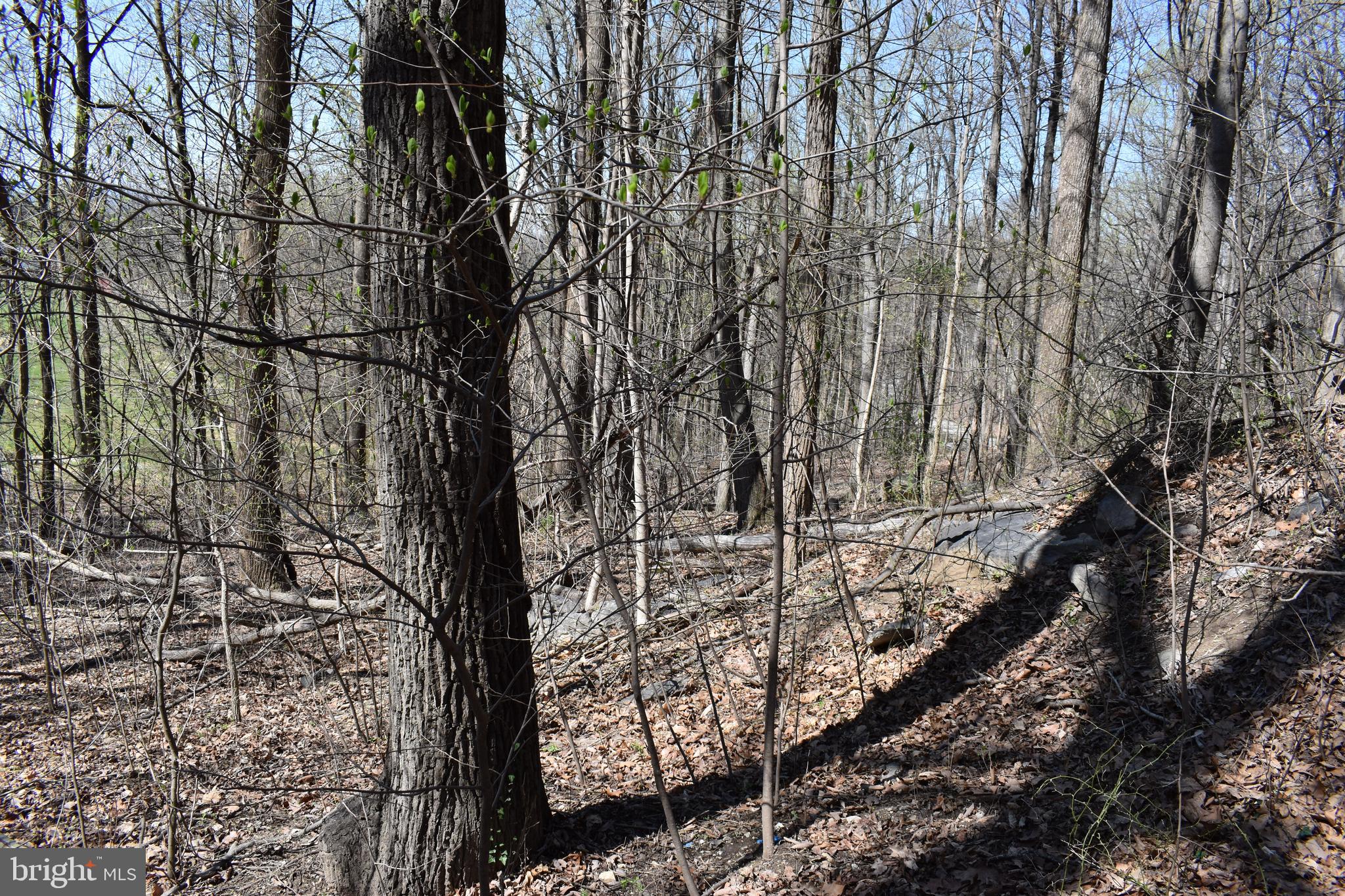 WESTRIDGE HILLS - Land