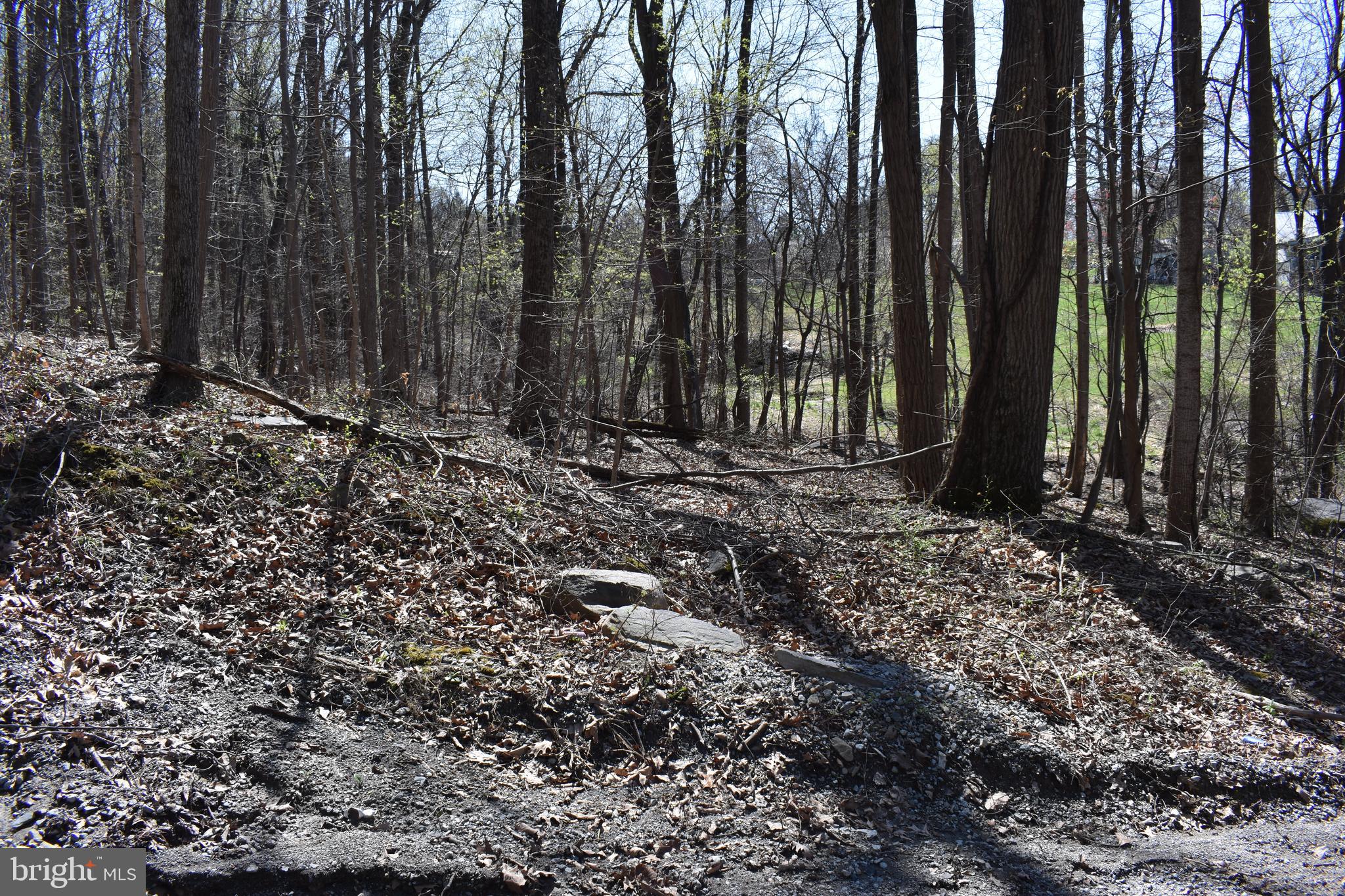 WESTRIDGE HILLS - Land