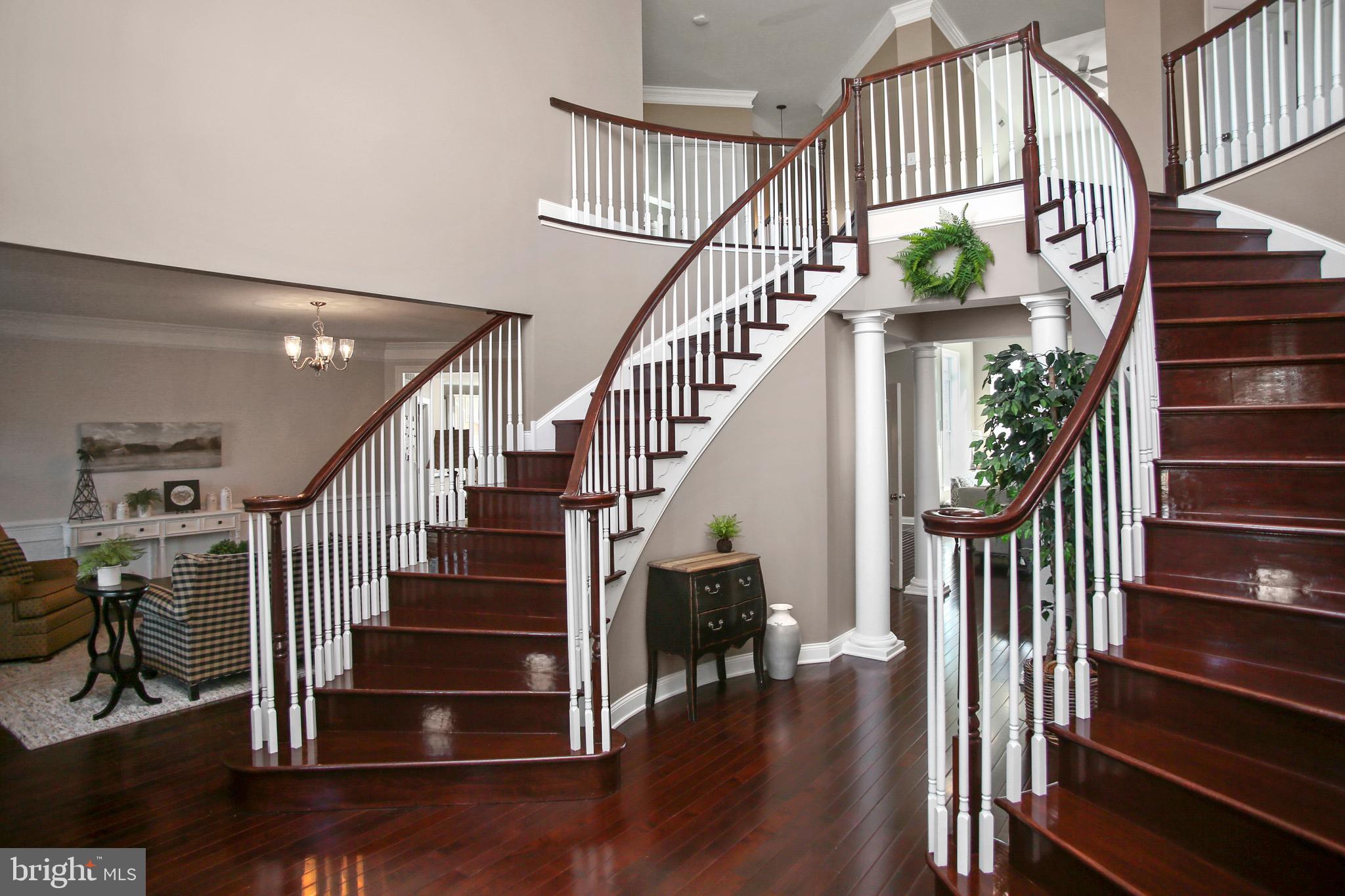 PLUMSTEAD PRESERVE - Residential