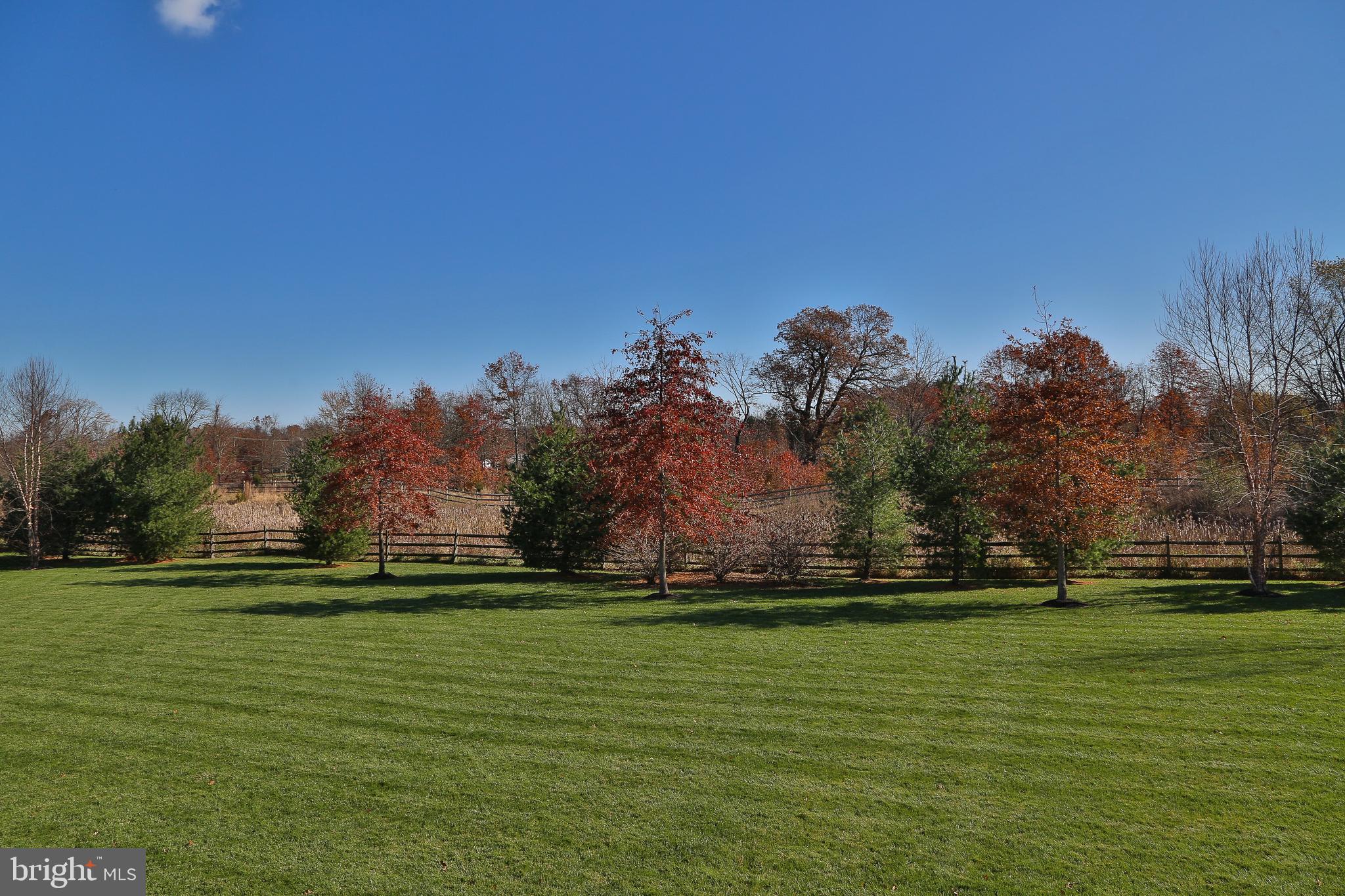 PLUMSTEAD PRESERVE - Residential