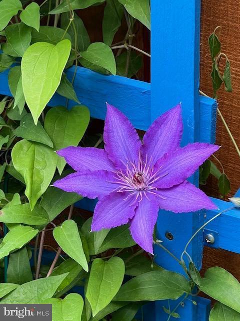 EVERGREEN ESTATES PLAT 4 - Residential