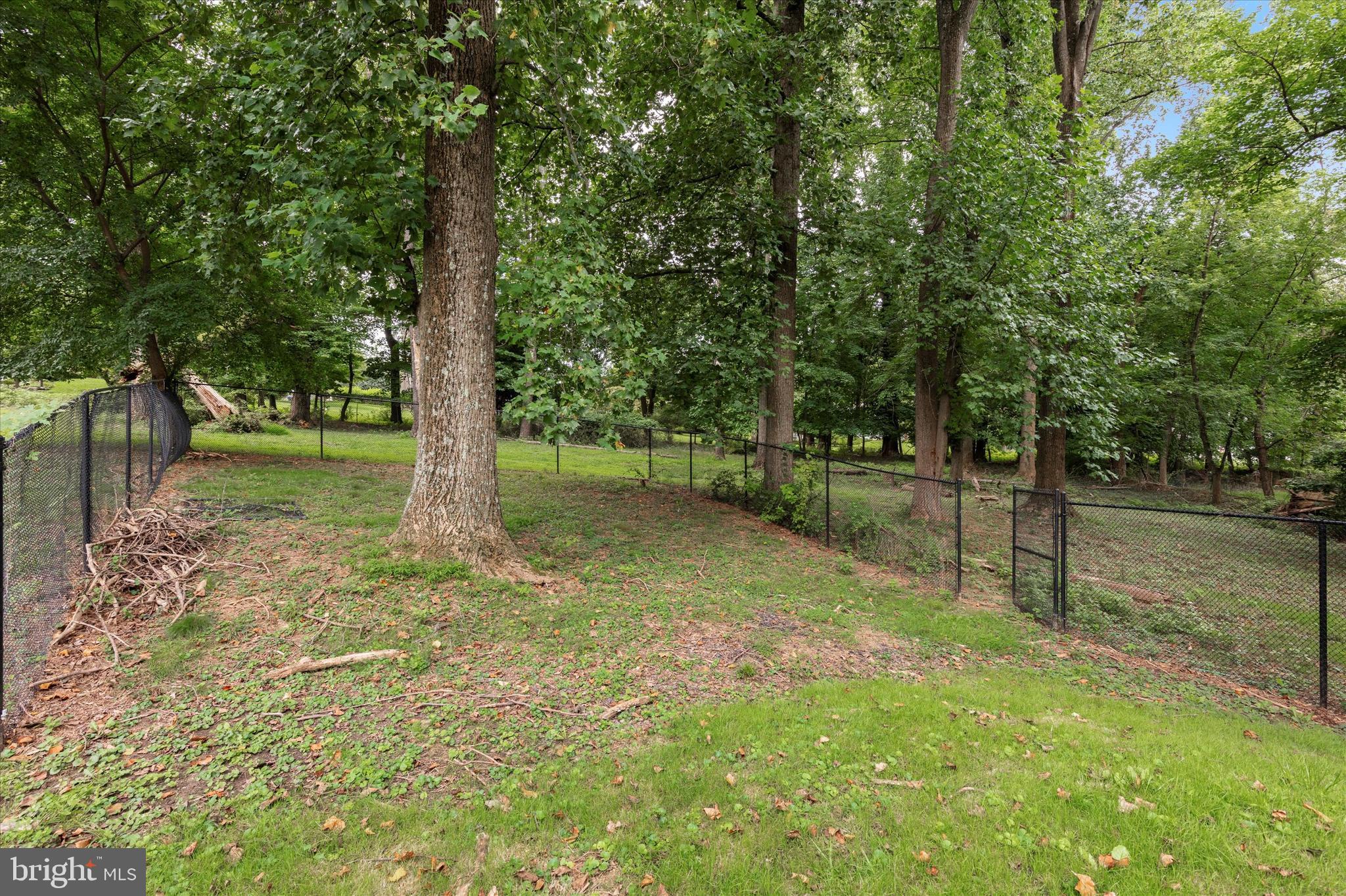 WAYNEWOOD - Residential
