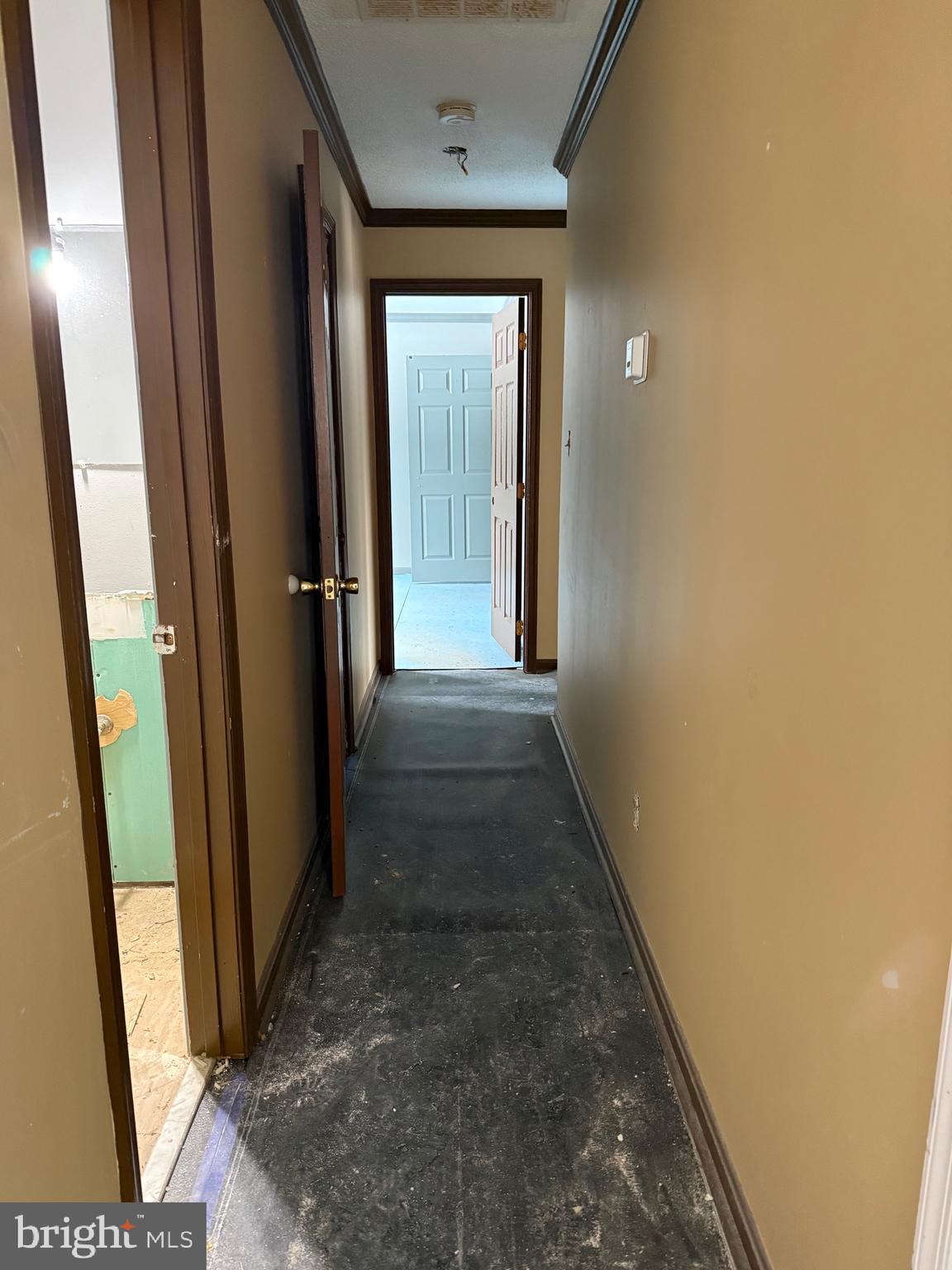 LINCOLN PARK - Residential