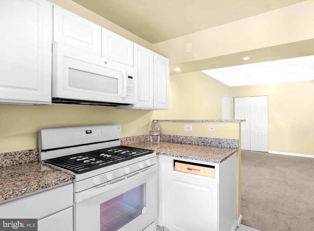 THE OASIS CONDOMINIUMS - Residential Lease