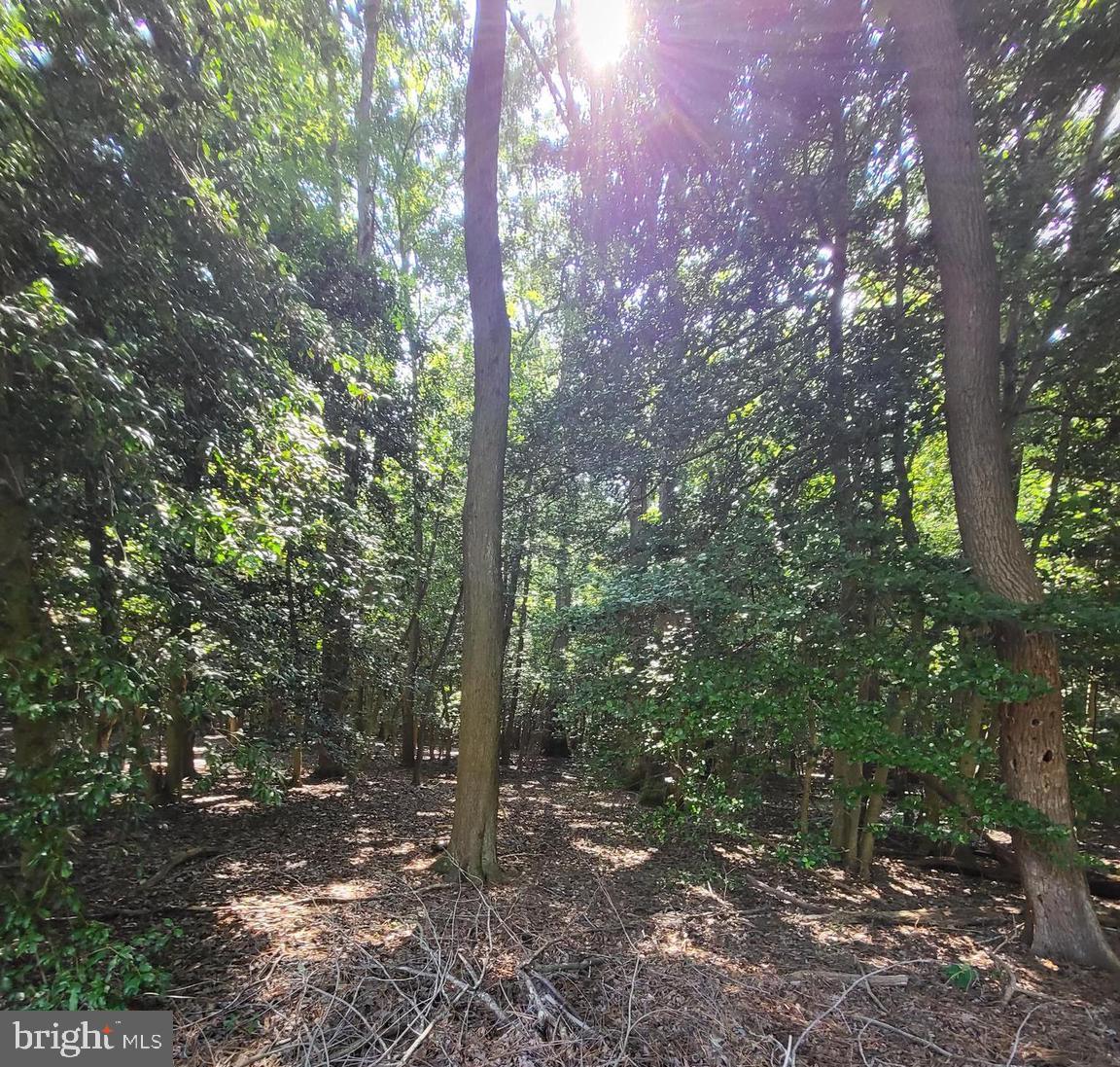 BEAVER RUN MANOR - Residential