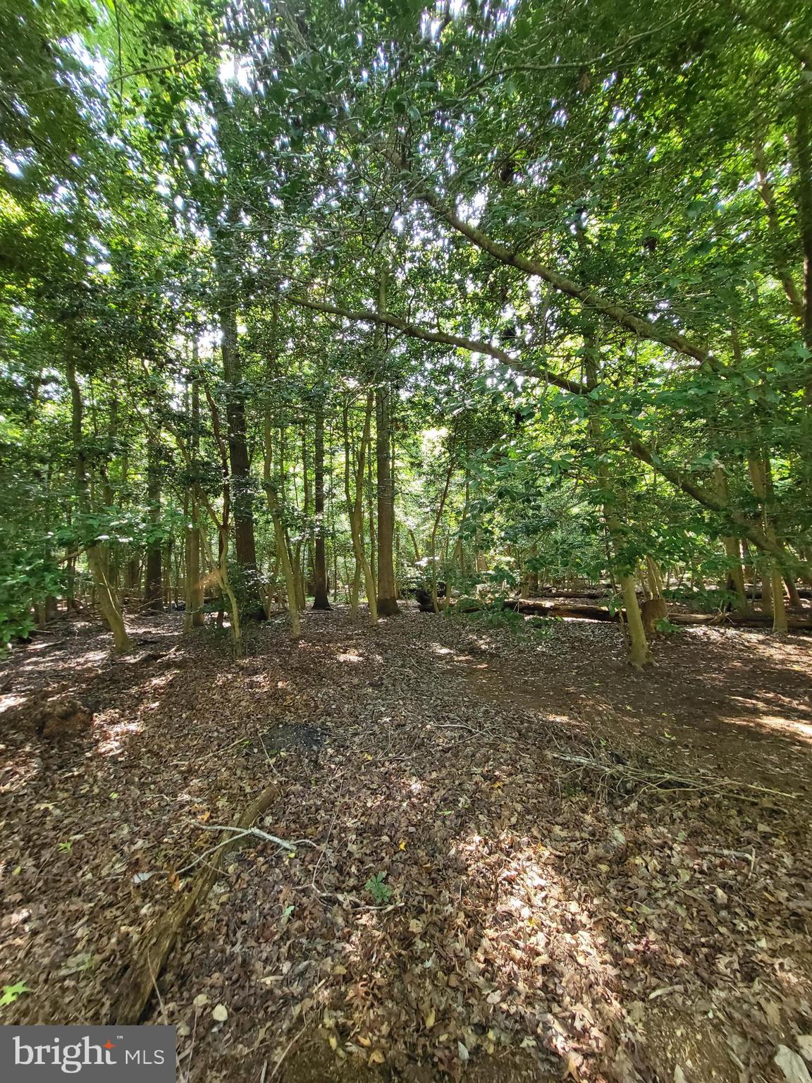 BEAVER RUN MANOR - Residential