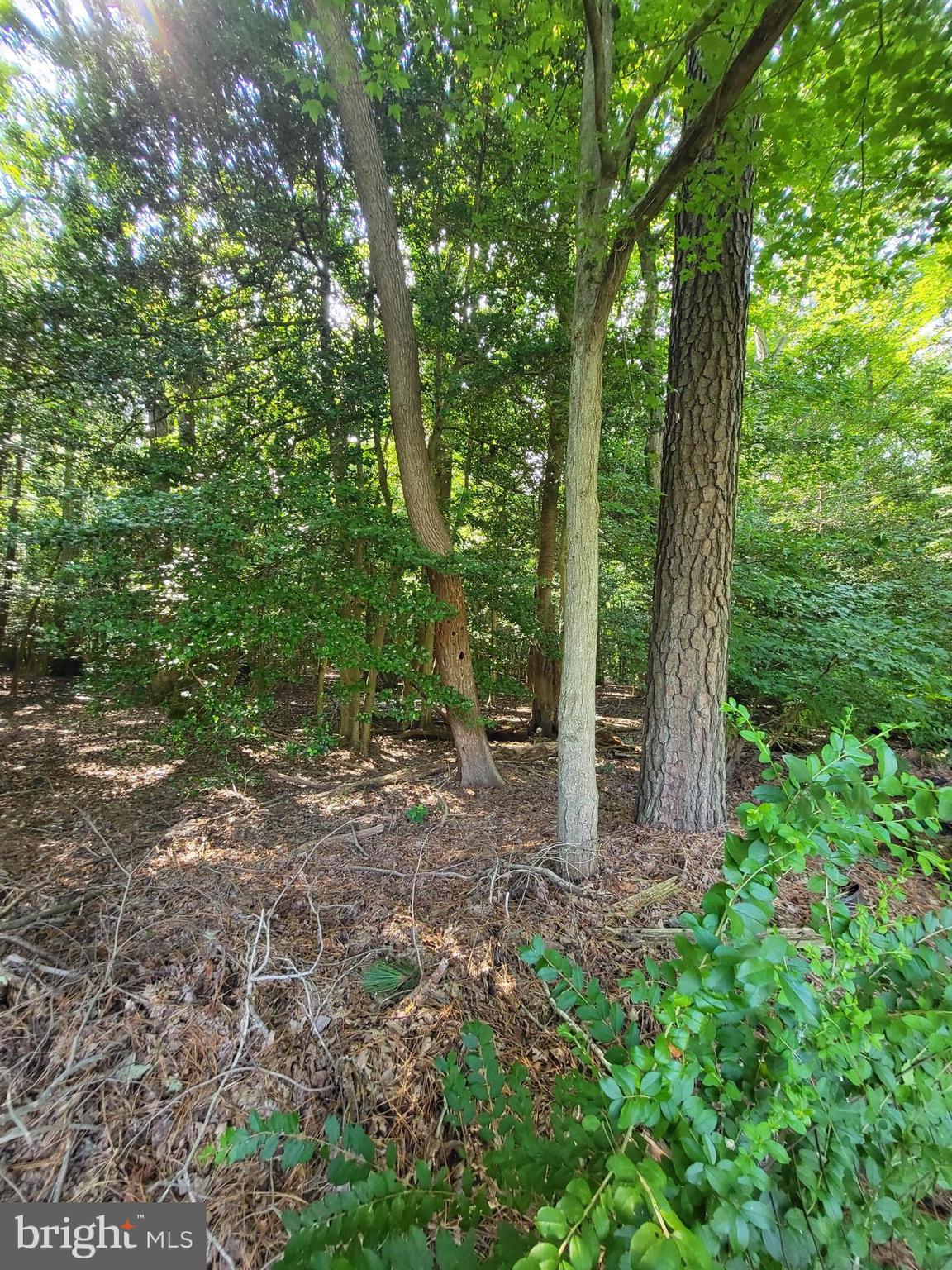 BEAVER RUN MANOR - Residential