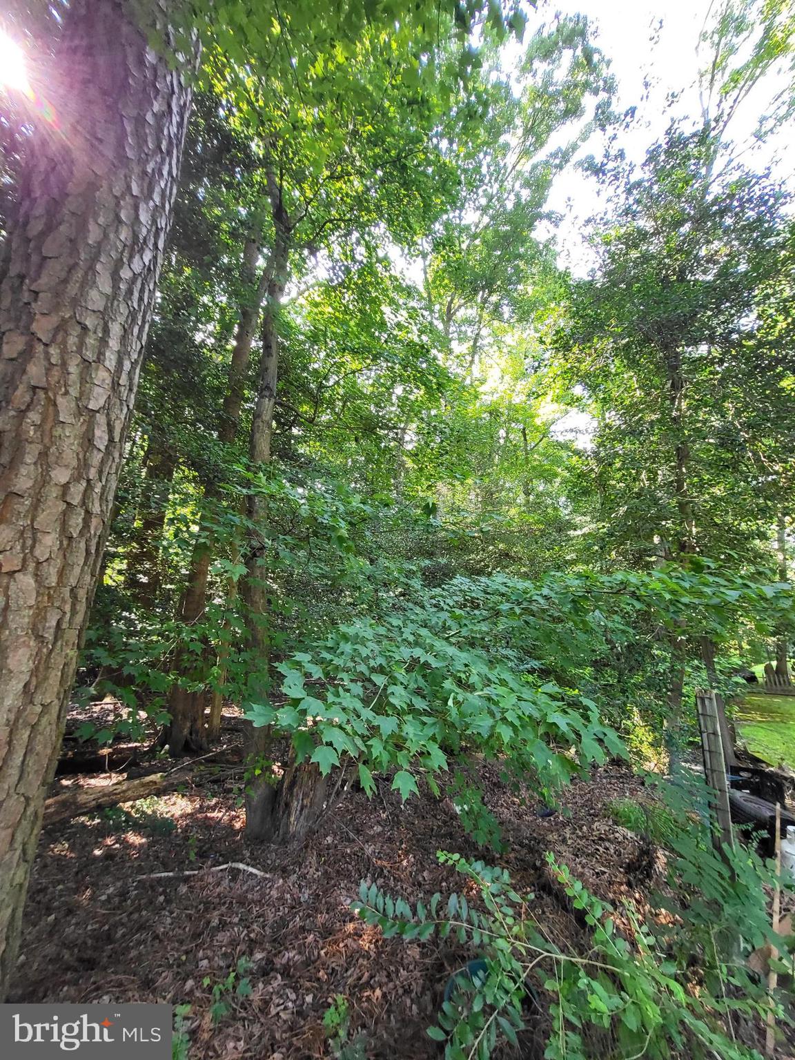 BEAVER RUN MANOR - Residential