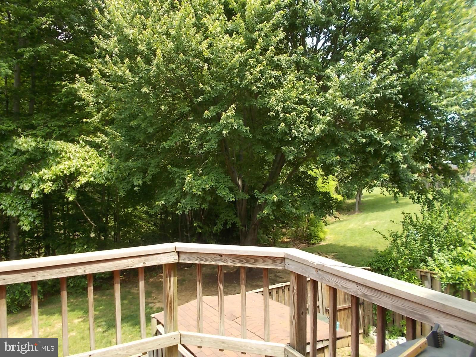 KINGSTOWNE - Residential Lease