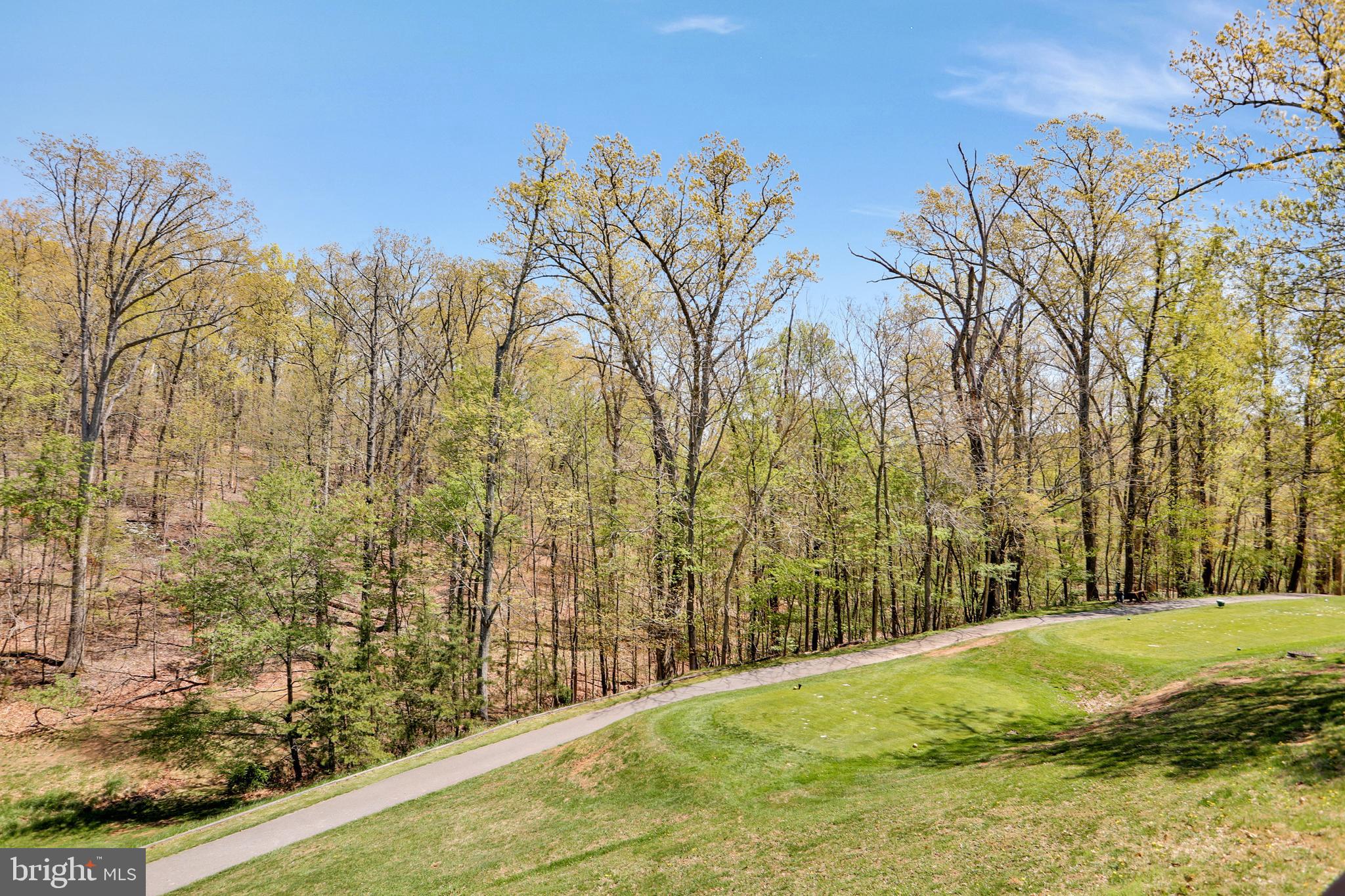 THE WOODS - Residential