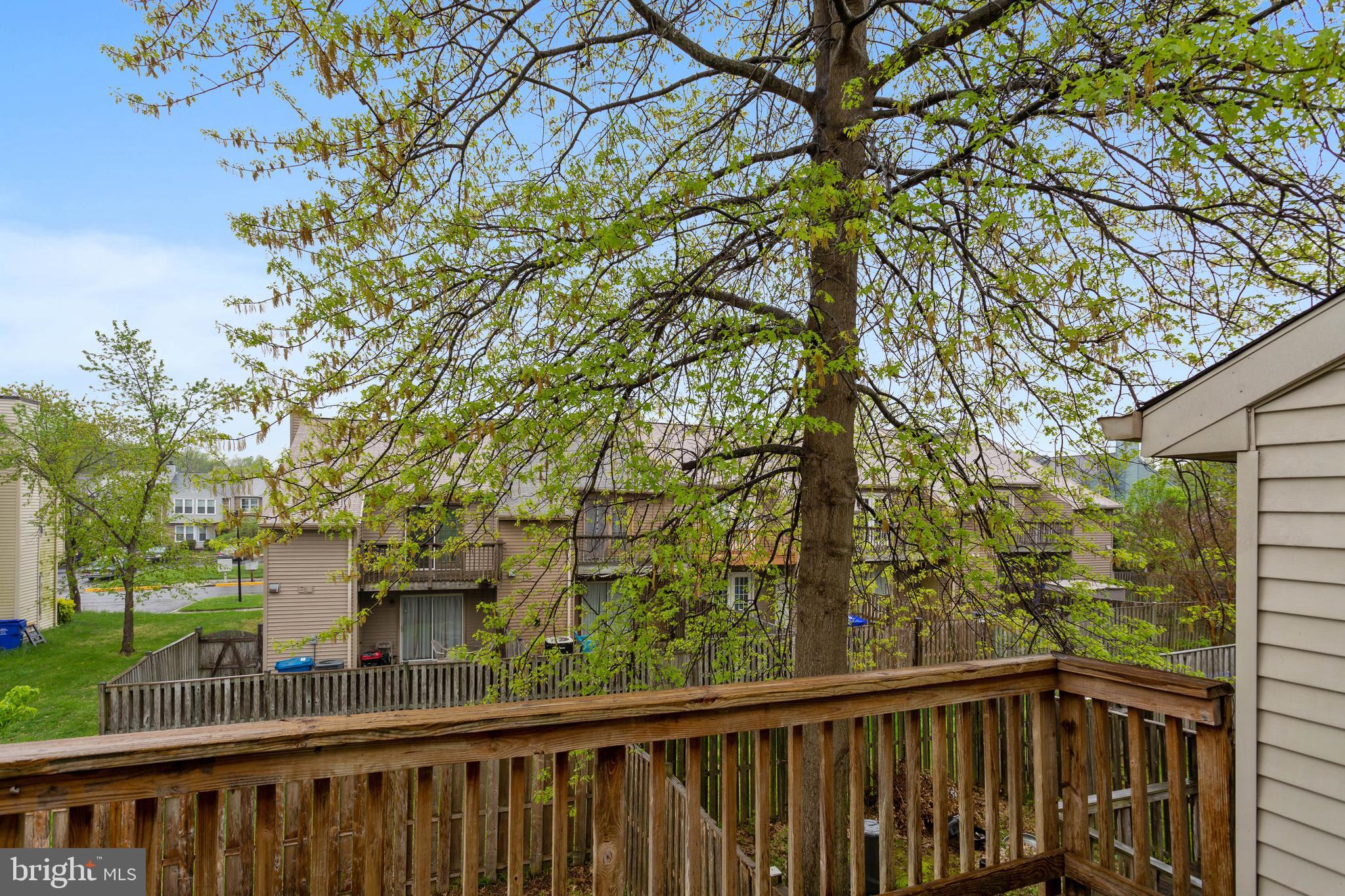 ACTON VILLAGE - Residential