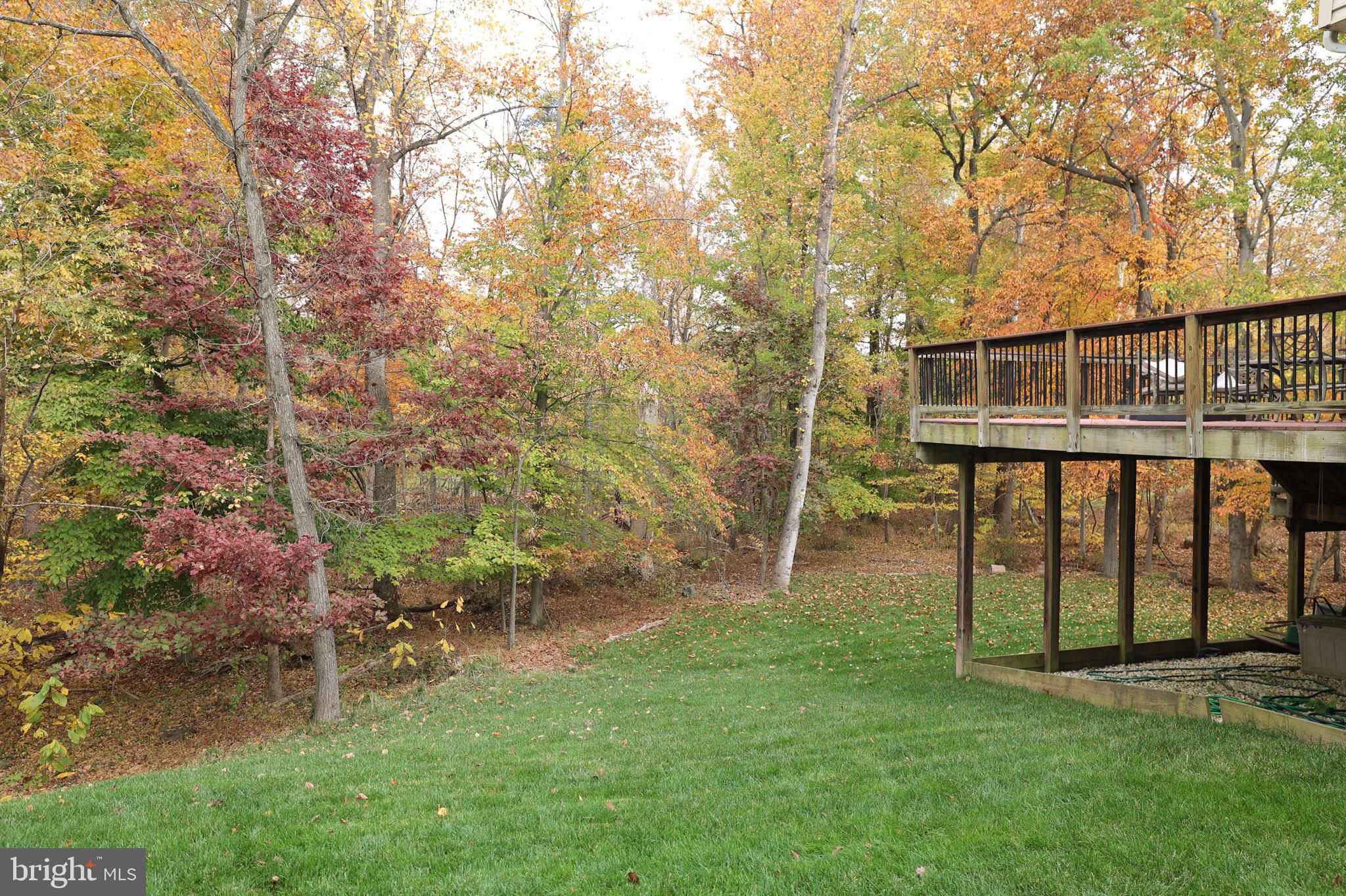 43612 HABITAT CIRCLE