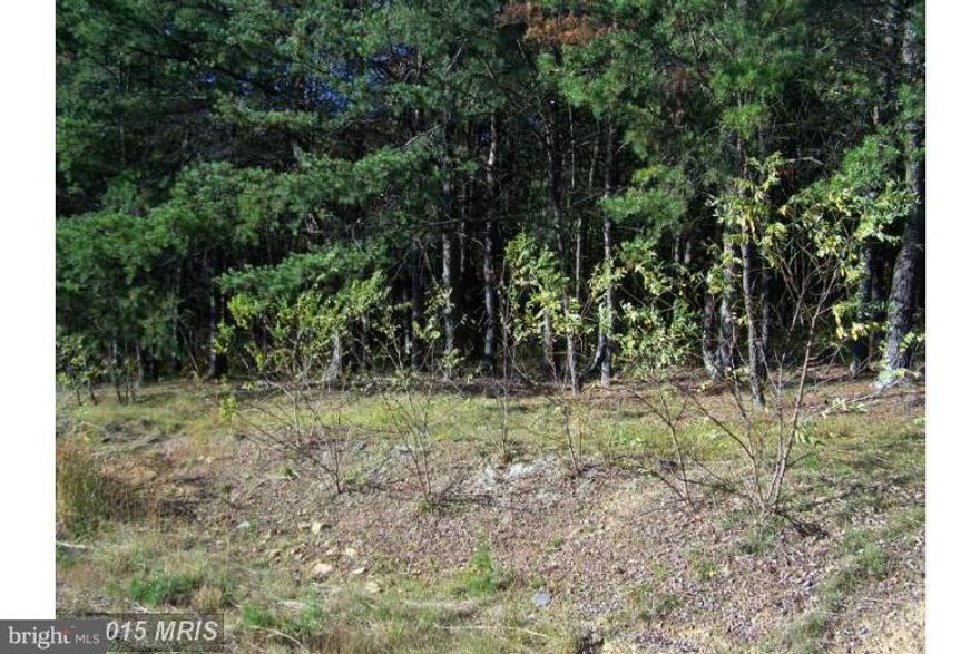 Moorefield WV, Location Close to Corridor H, 2.91 Acres, in Pinewood Subdivision. Hardy County Location. Having  A Home On This Beautiful Lot Would Be a Dream Come True!  No Restrictions!