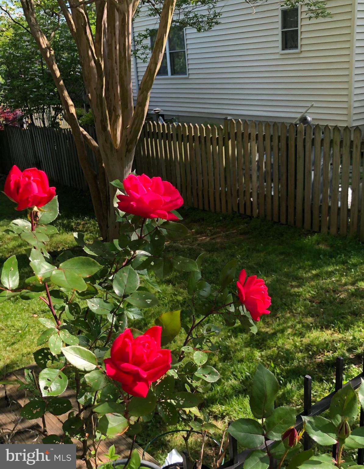 GLENVIEW - Residential