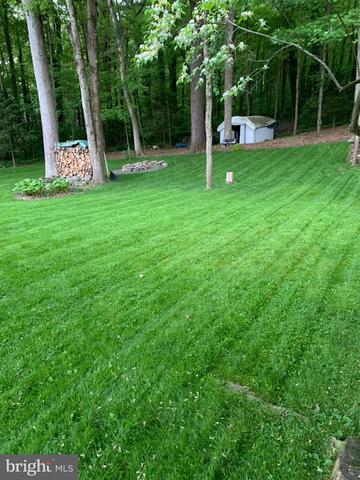 PARK FOREST VILLAGE - Residential