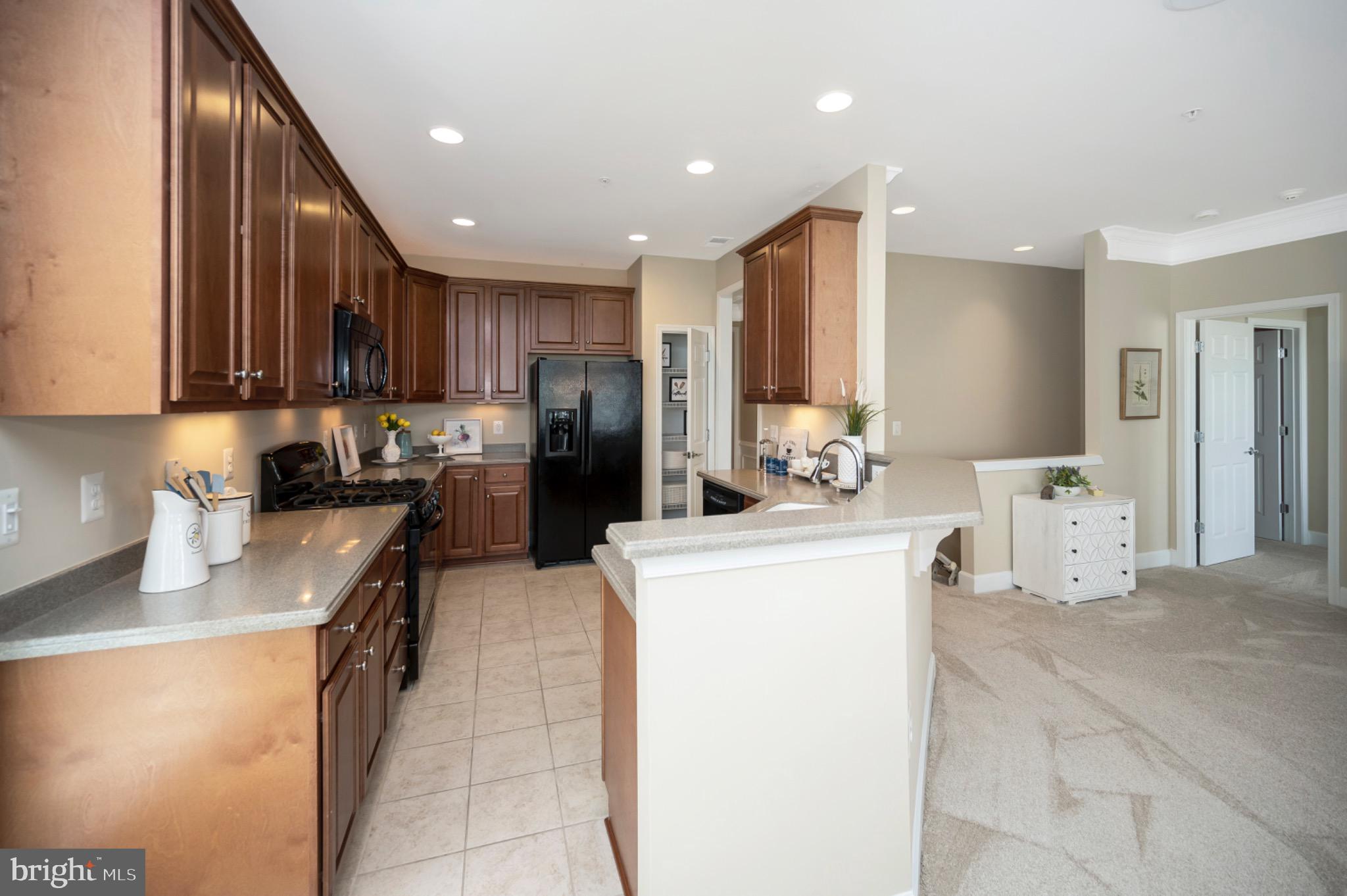 CELEBRATE VIRGINIA NORTH - Residential