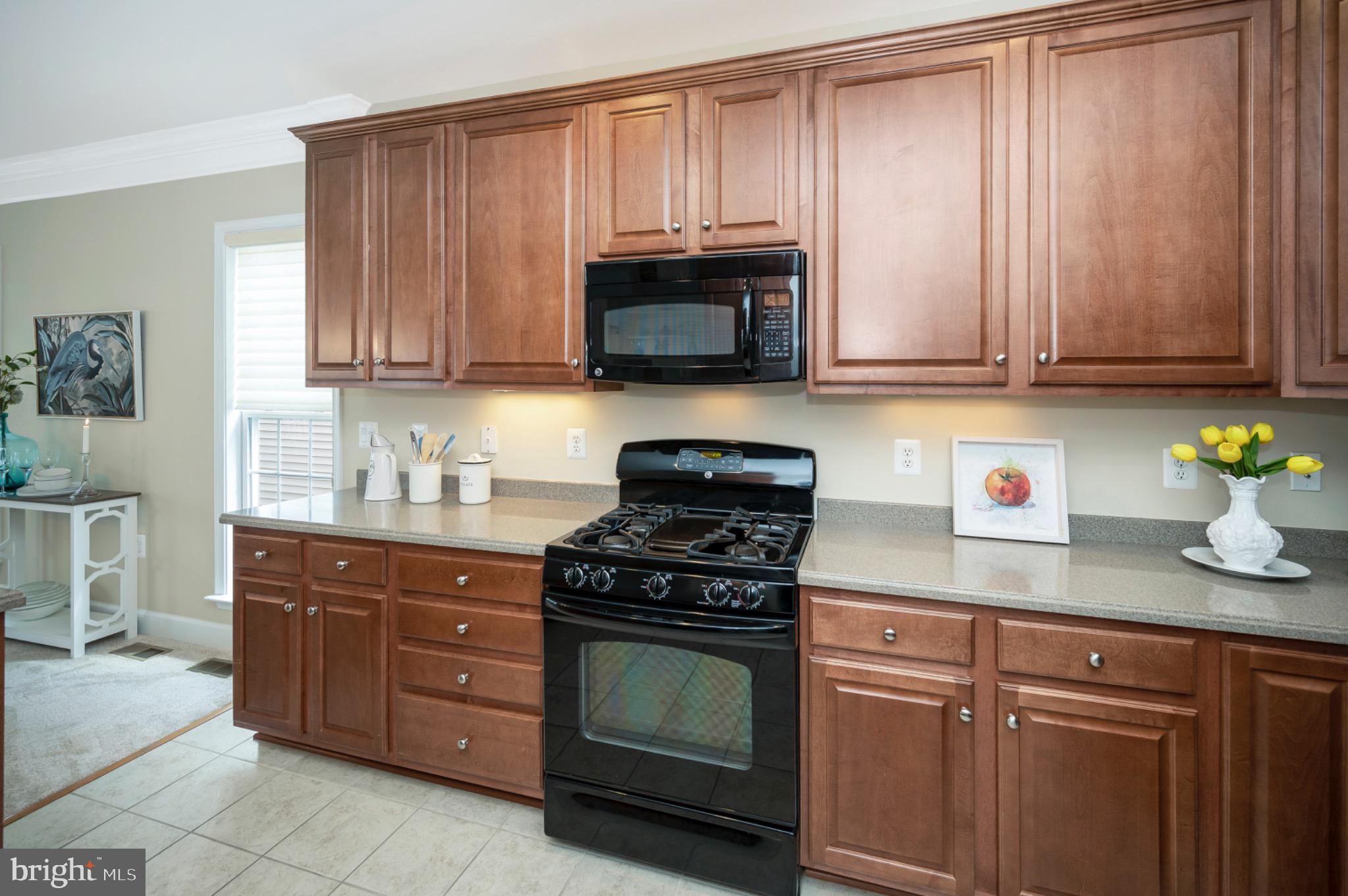 CELEBRATE VIRGINIA NORTH - Residential