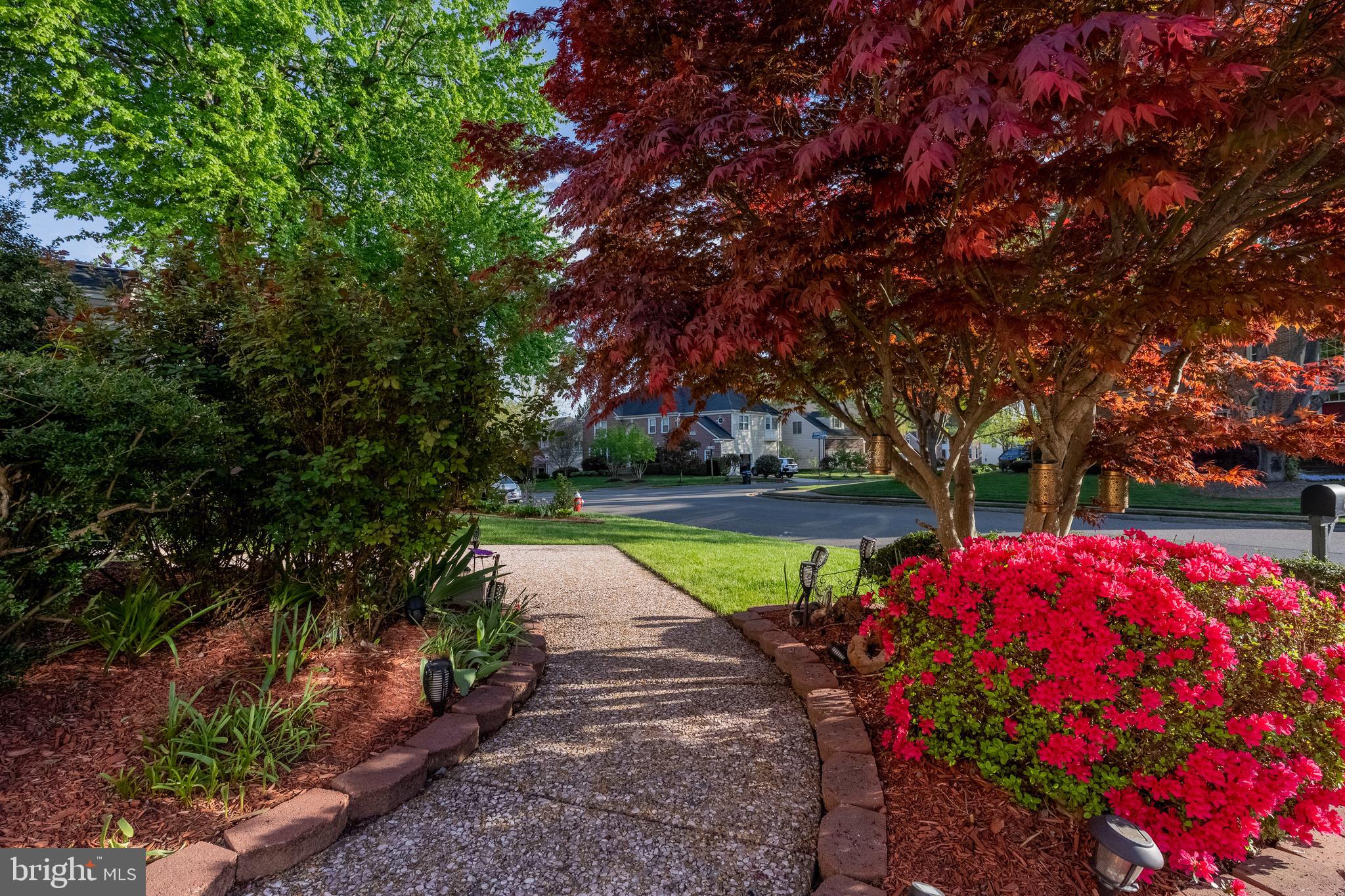 8103 HADDINGTON COURT