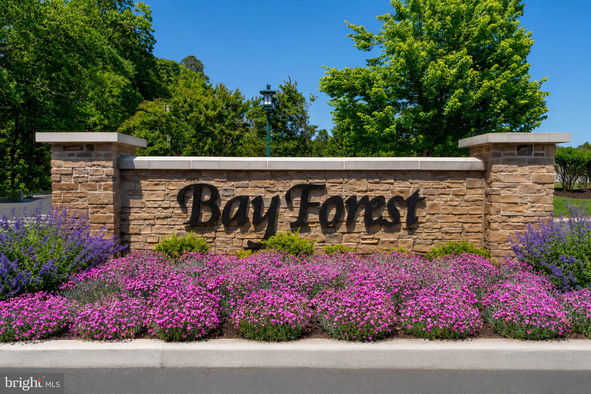 BAY FOREST CLUB - Residential