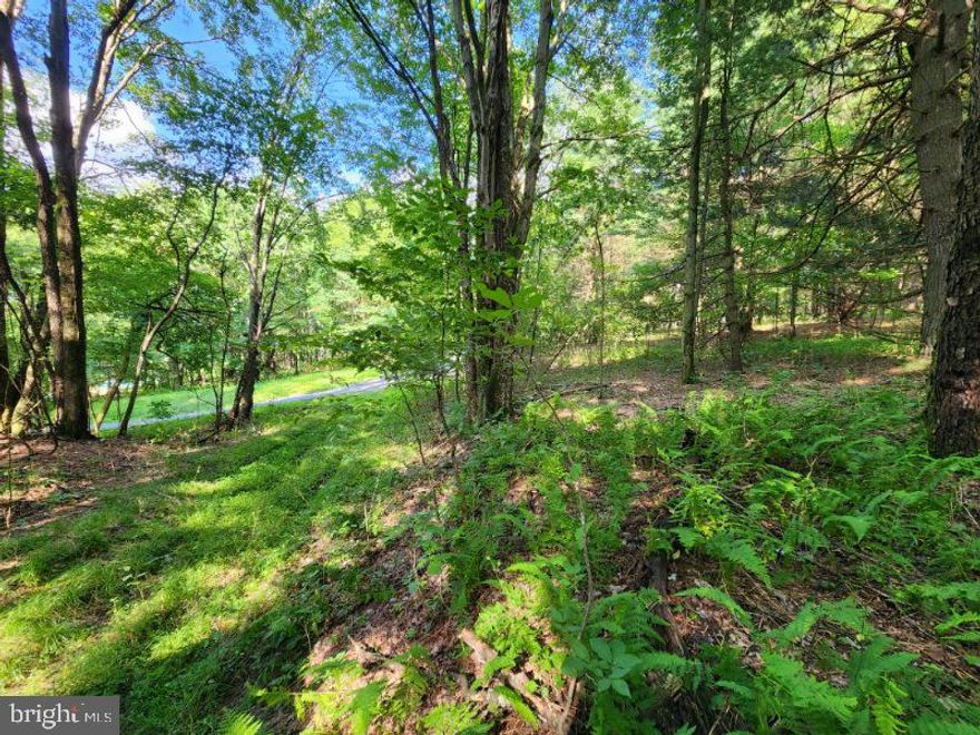 Build your new home stress free on this 2.22 Acre lot with Public Water, Public Sewer AND Electric On Street! Access from Cross Road Blvd or N Twigg Street. No restrictions, No Zoning!