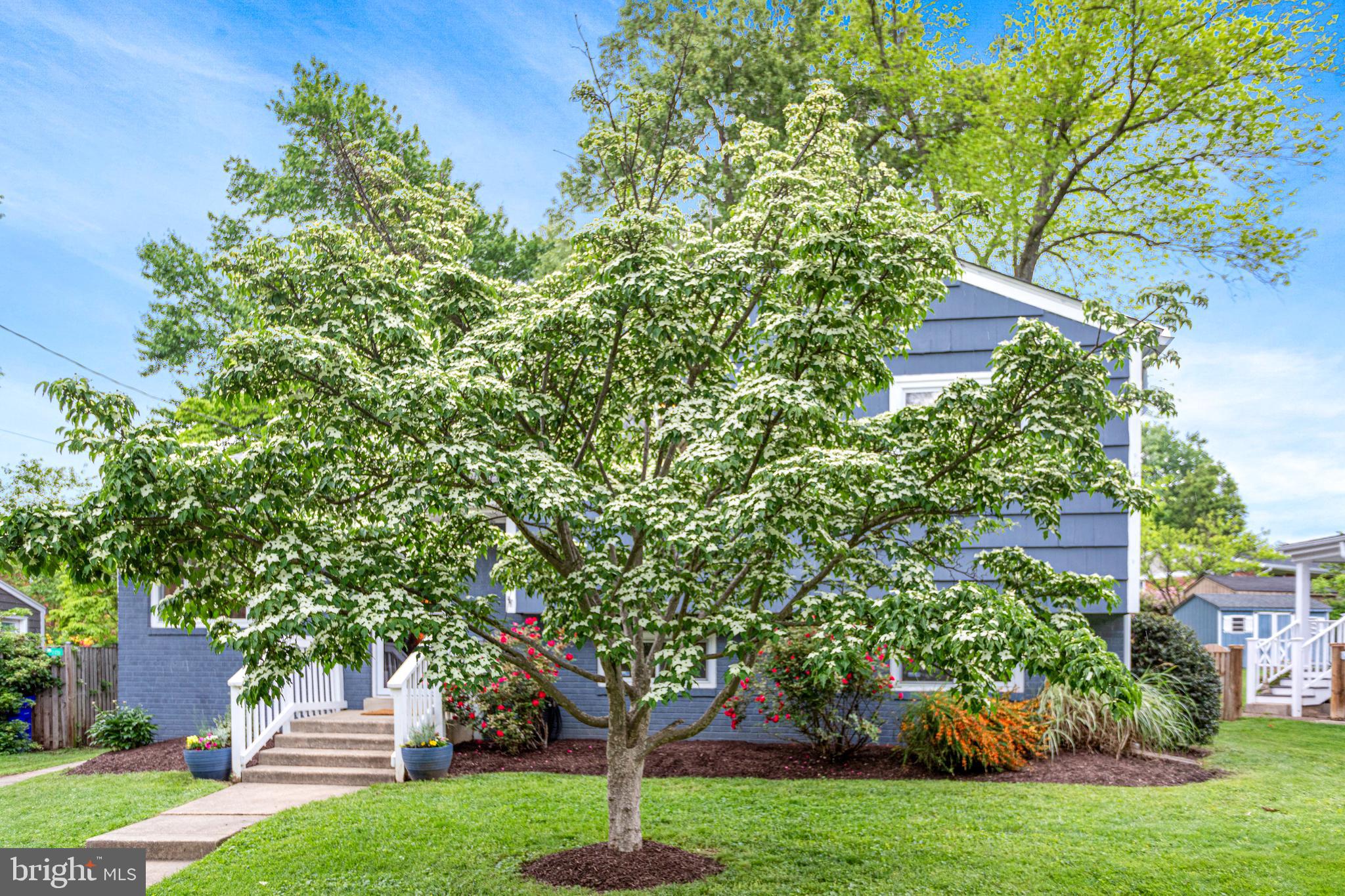 NEWPORT HILLS - Residential