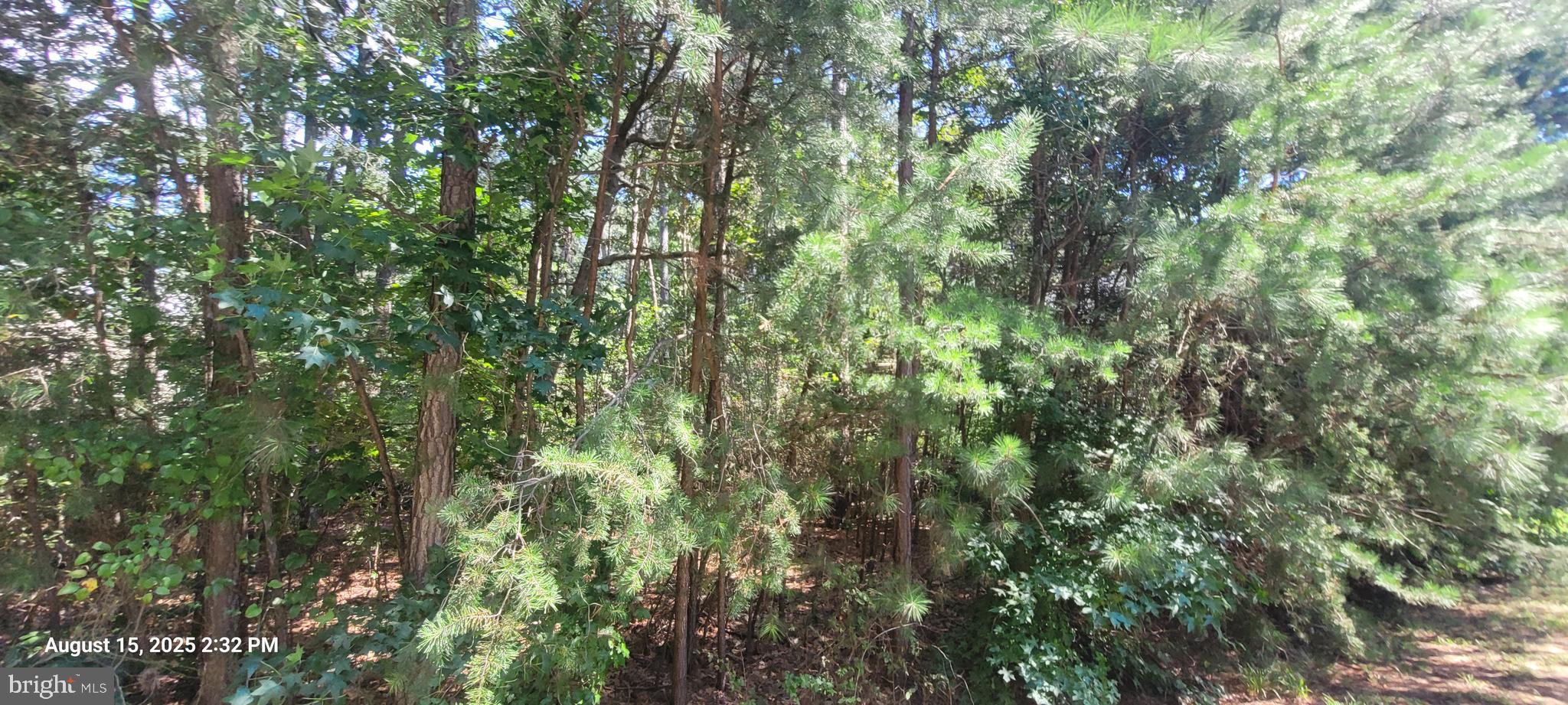 11235 LORD BALTIMORE DRIVE