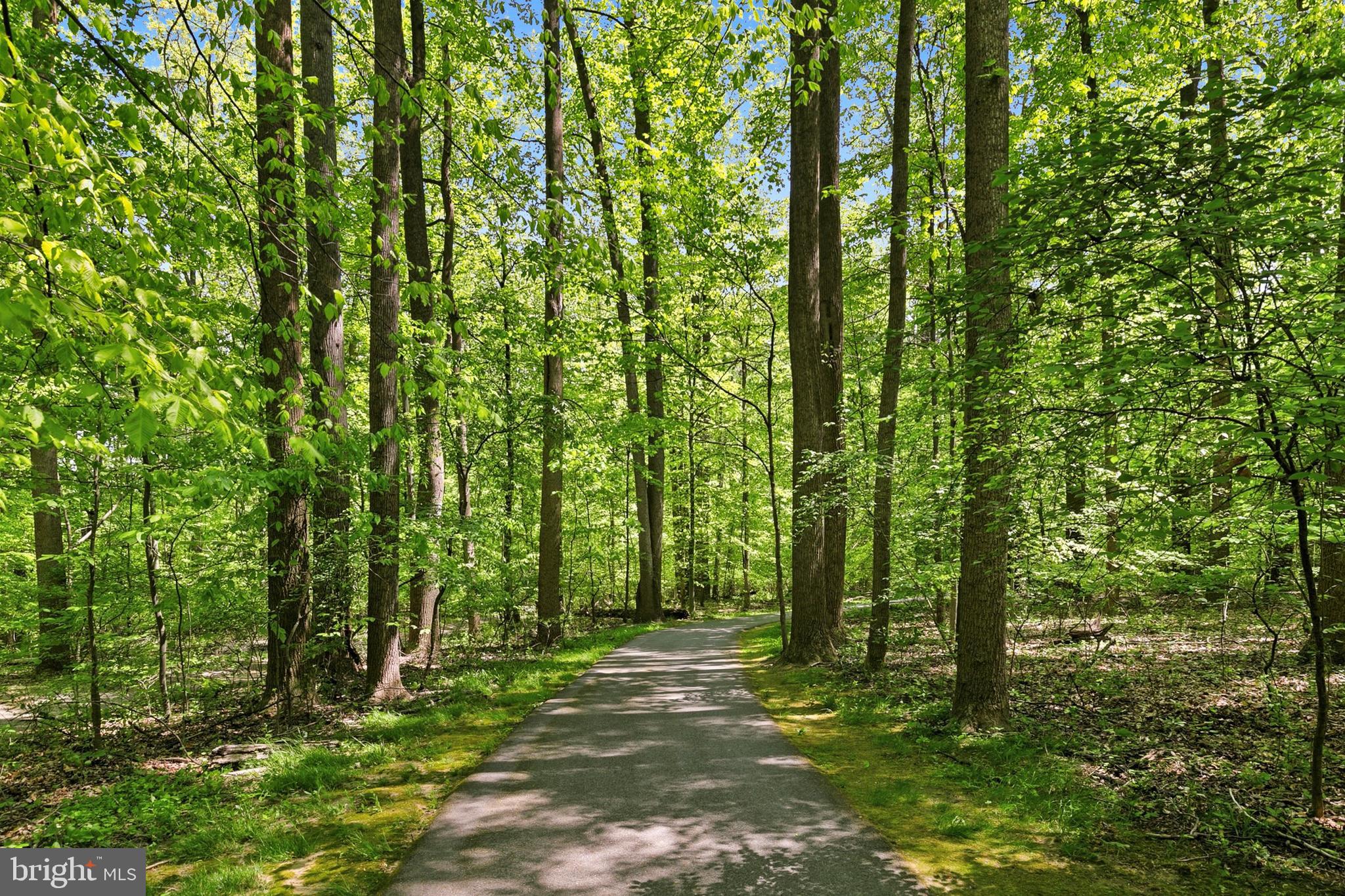 BEECH CREEK - Residential