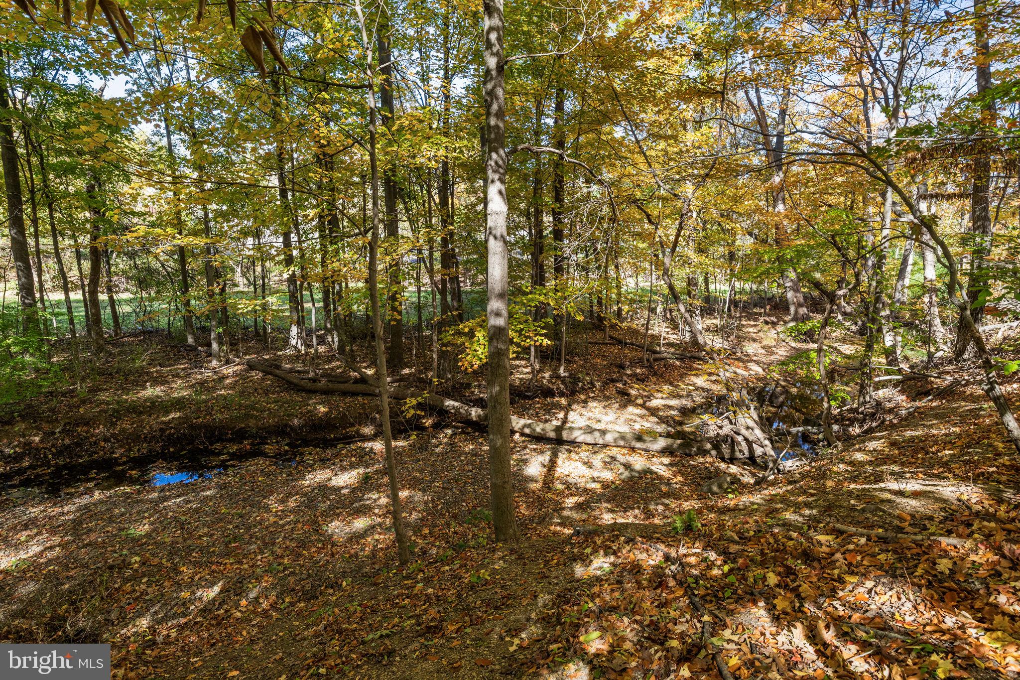 THE ORCHARD - Residential