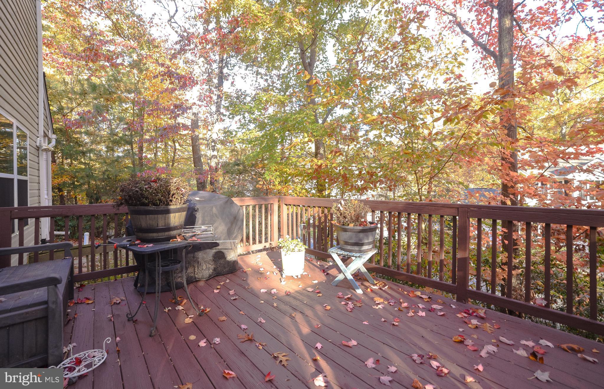 CHESAPEAKE RANCH ESTATES - Residential