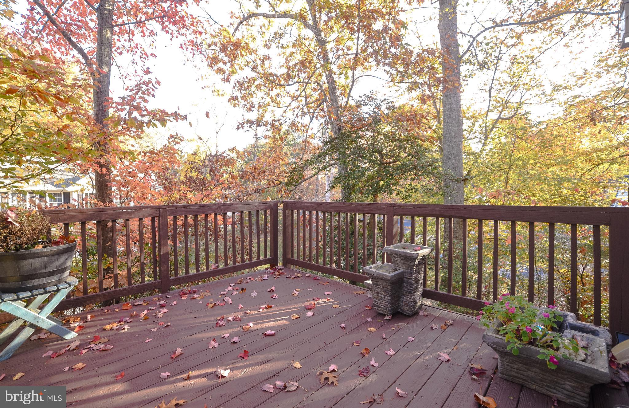 CHESAPEAKE RANCH ESTATES - Residential