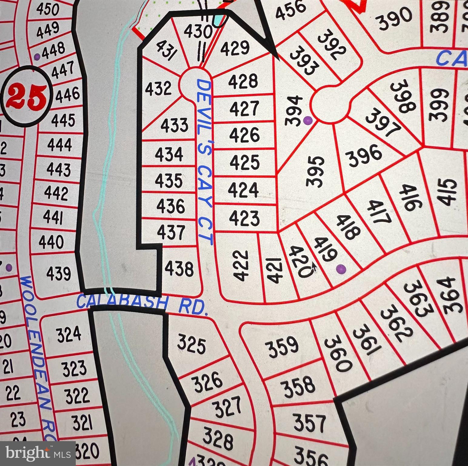 L #422 SECTION 25 CORNER OF CALABASH CT AND DEVILS KAY CT