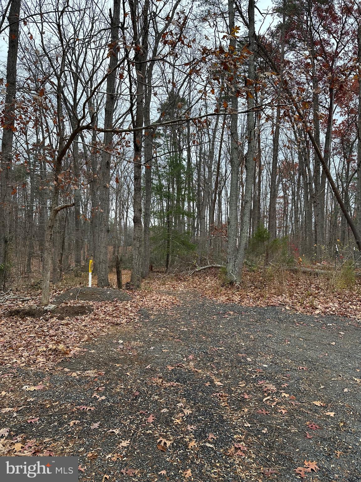 WOODLAND CHURCH ROAD