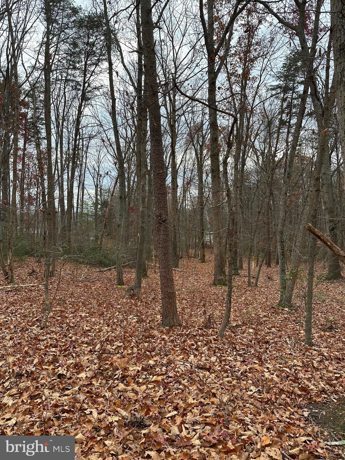 WOODLAND CHURCH ROAD