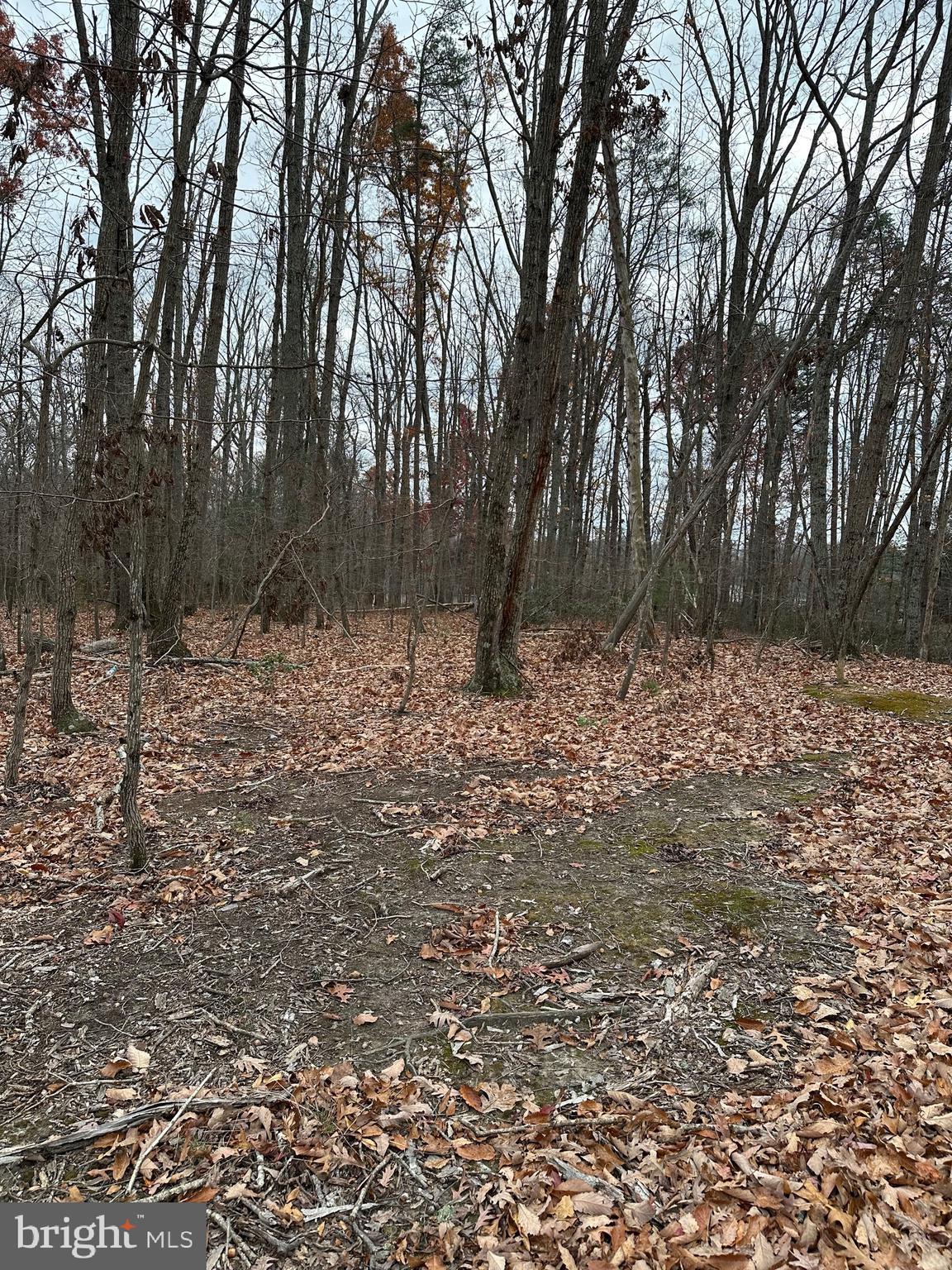 WOODLAND CHURCH ROAD