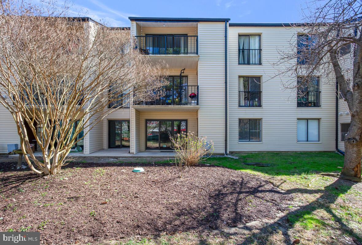 RIVA COMMONS - Residential Lease