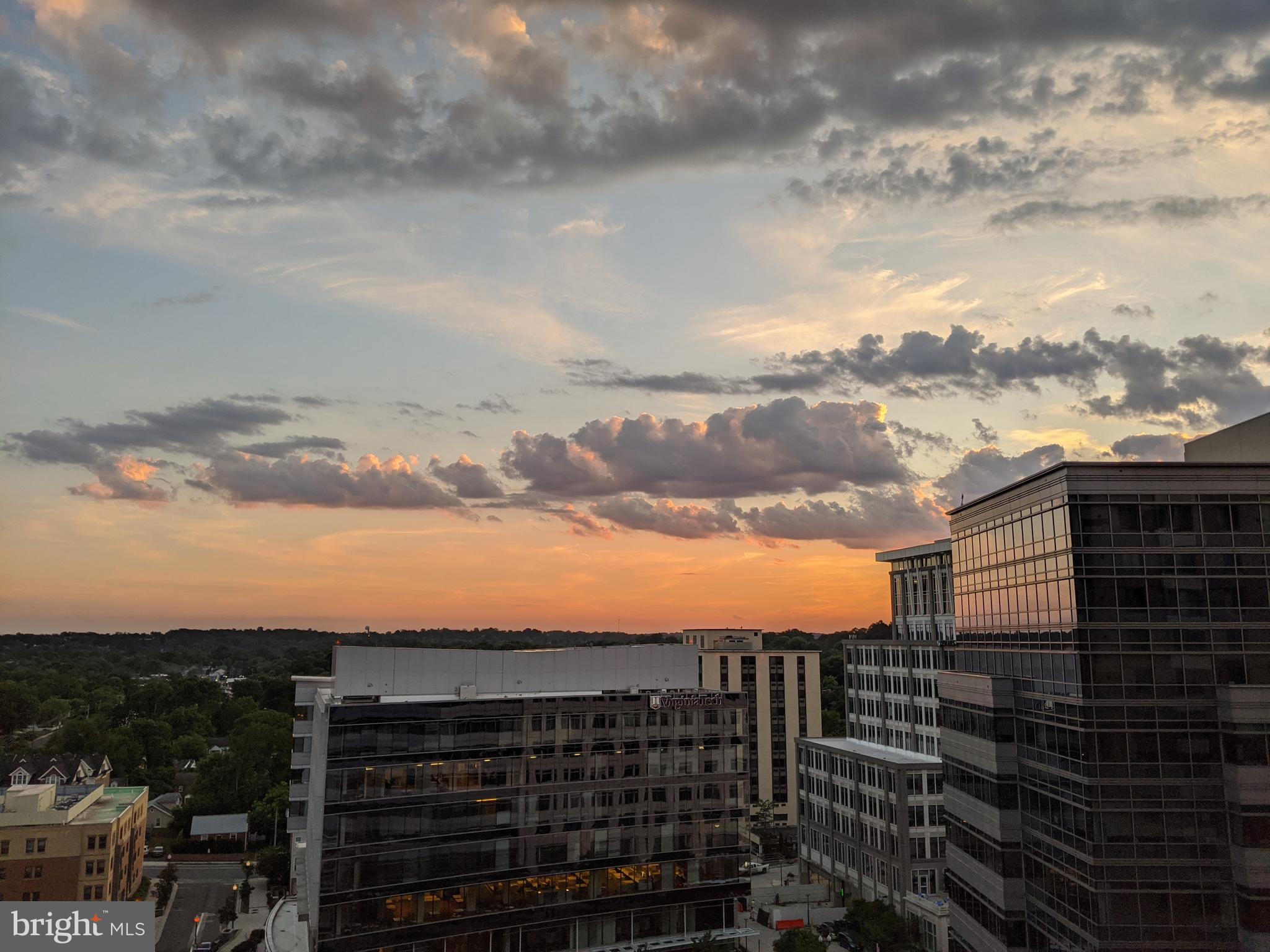 851 N GLEBE ROAD 1304