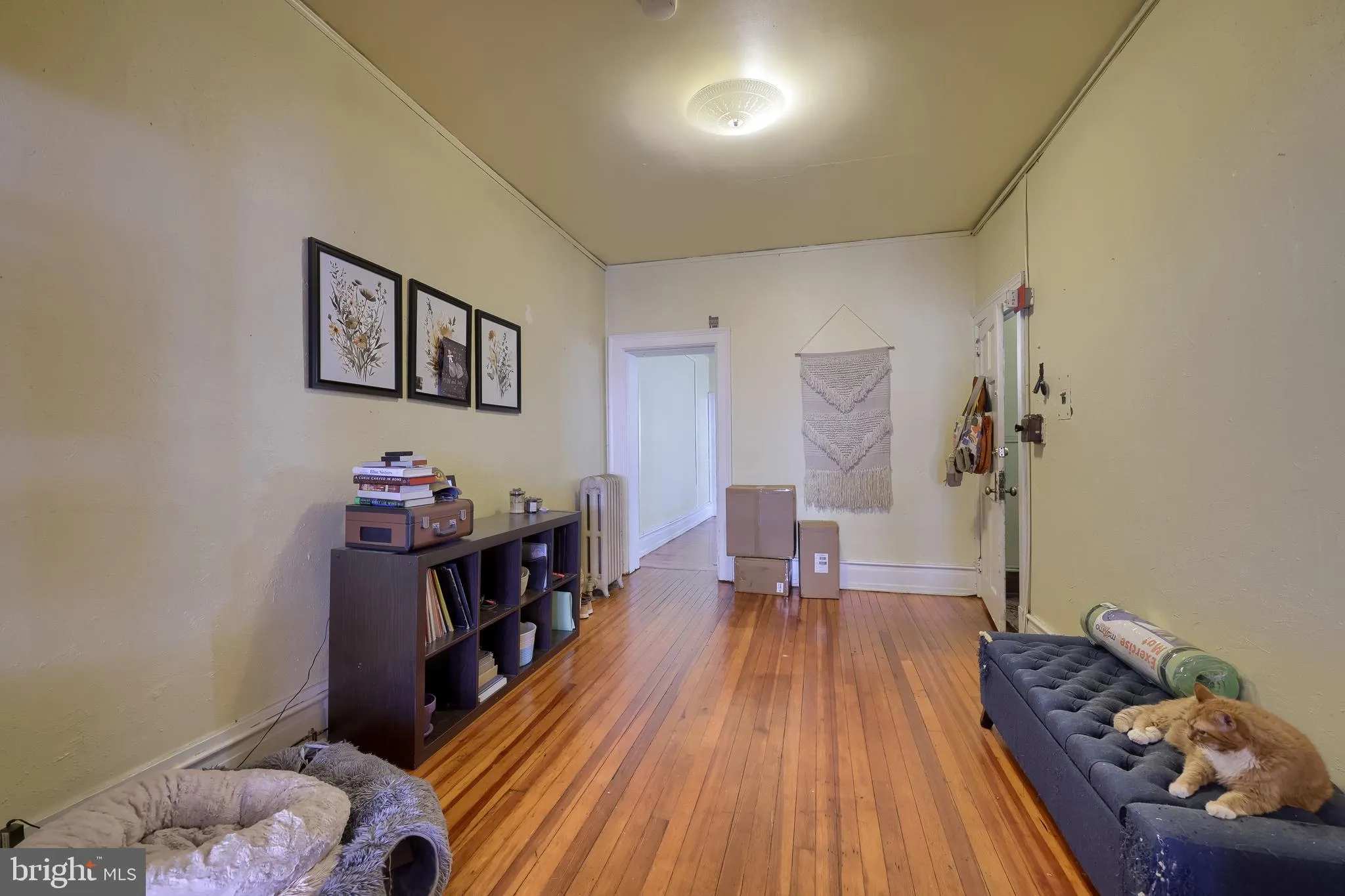 Lancaster, Pennsylvania 17603, United States, ,Commercial,Active,207137