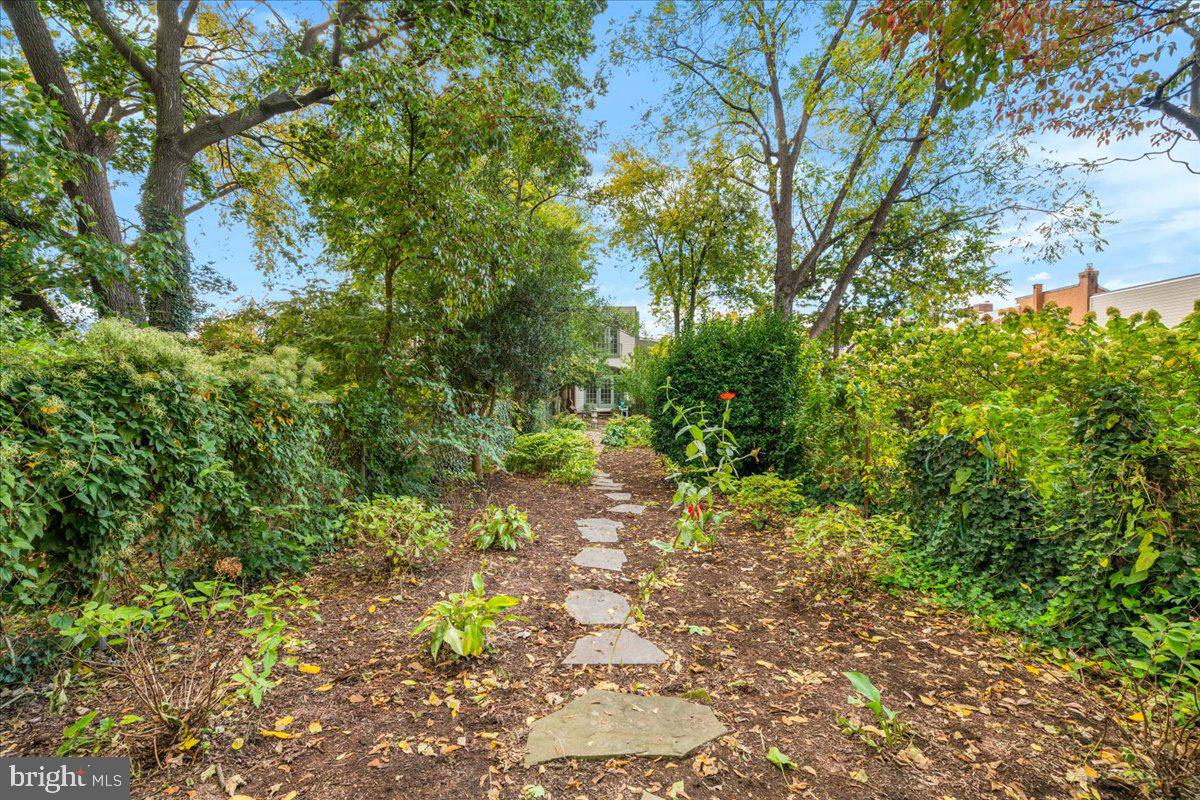 DOWNTOWN FREDERICK - Residential