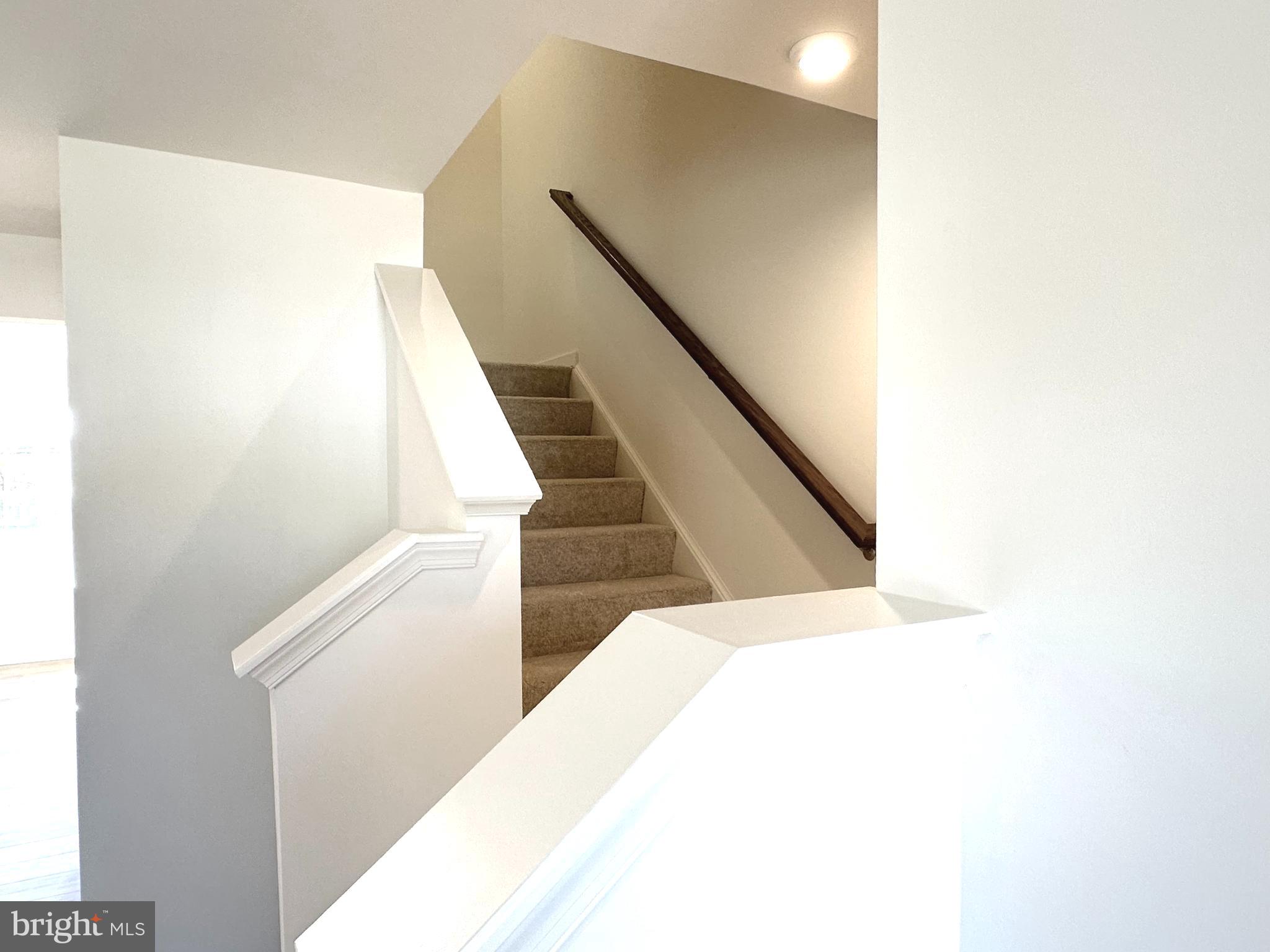 HOMESTEAD ACRES - Residential