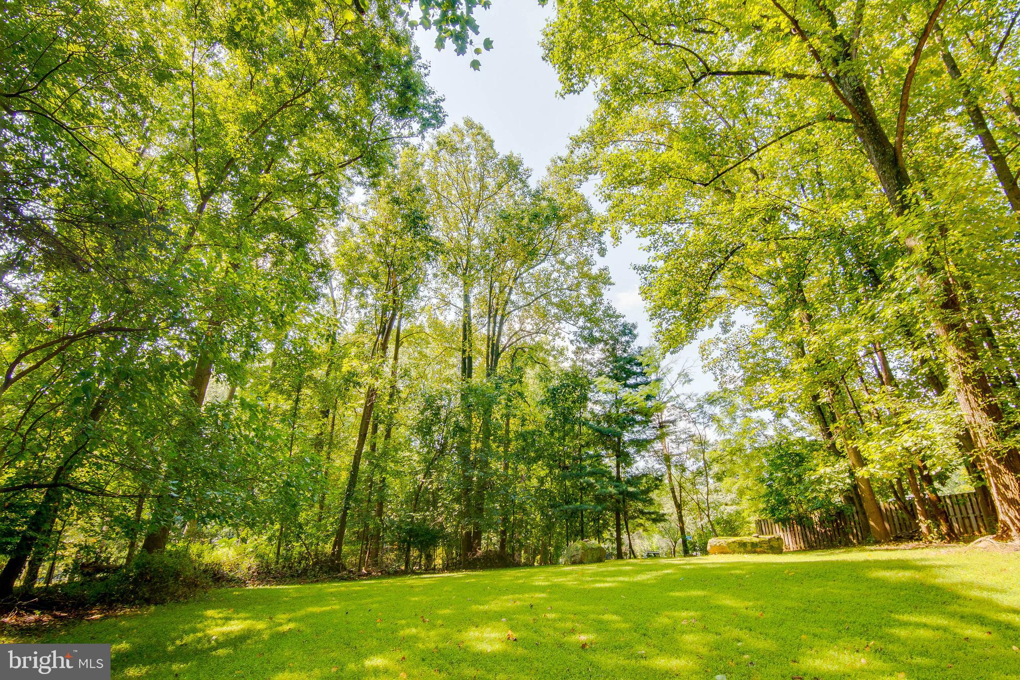 CLEMENS CROSSING - Residential