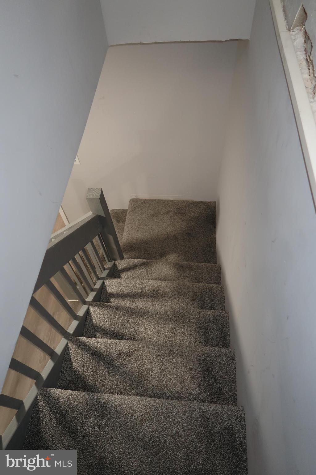 BELAIR-EDISON - Residential Lease