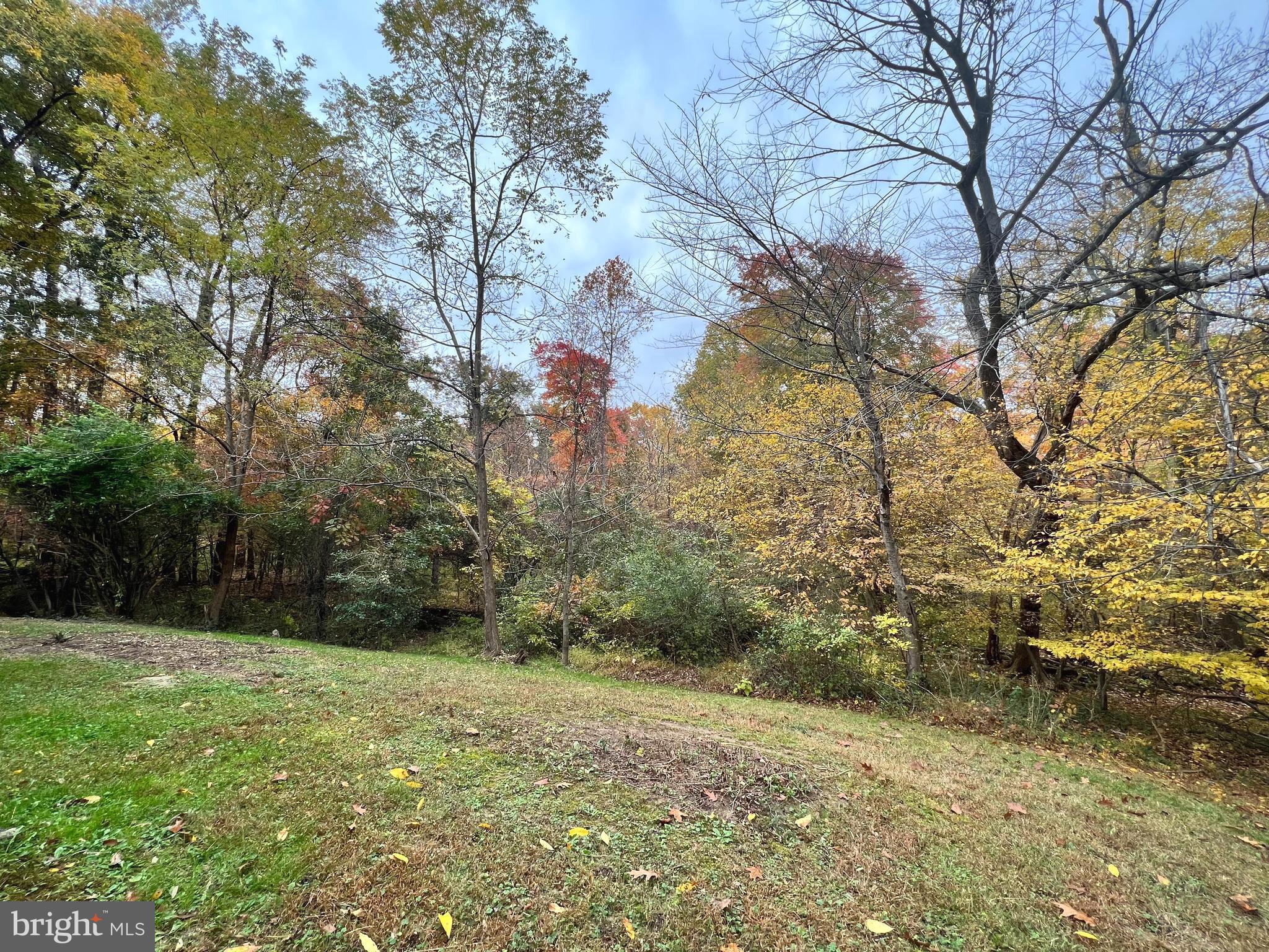 HOLMES RUN WOODS WEST - Residential