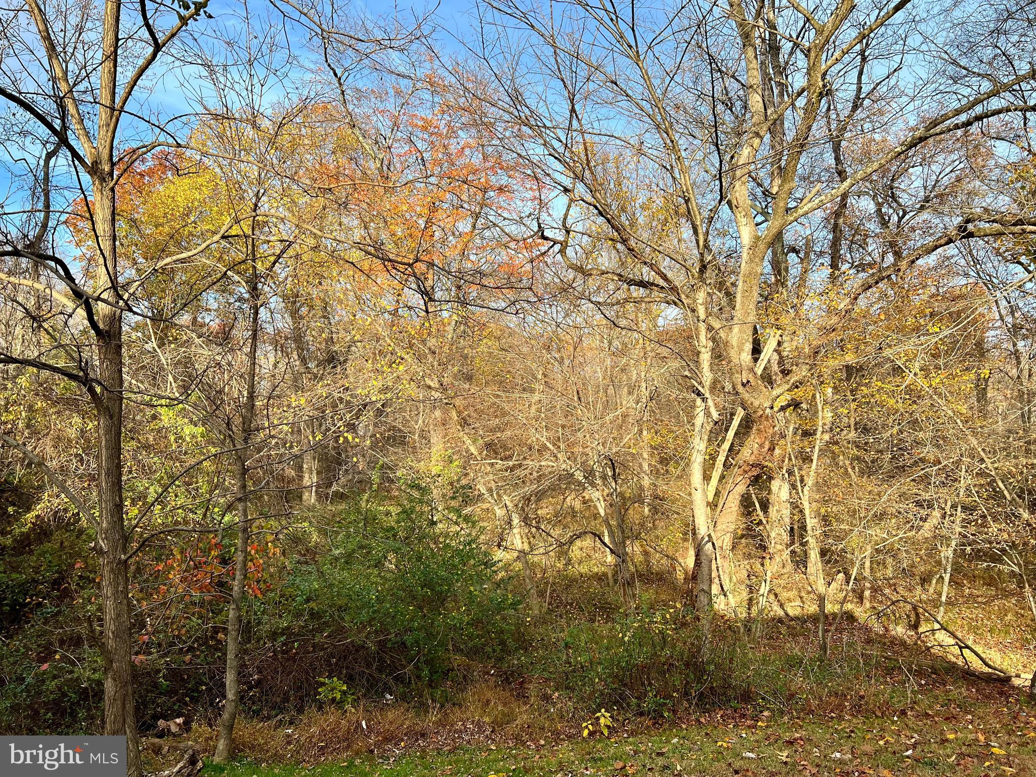 HOLMES RUN WOODS WEST - Residential