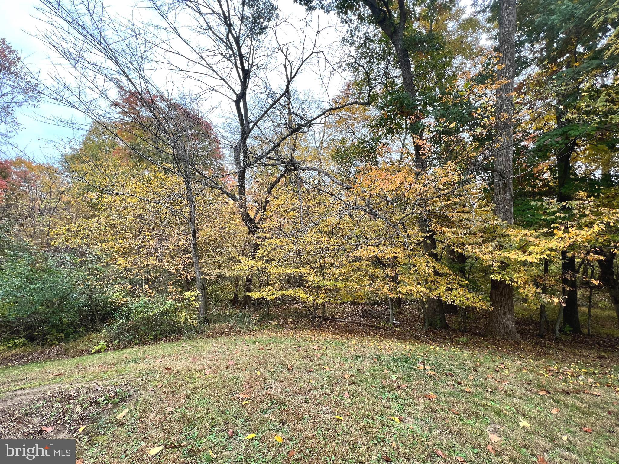 HOLMES RUN WOODS WEST - Residential