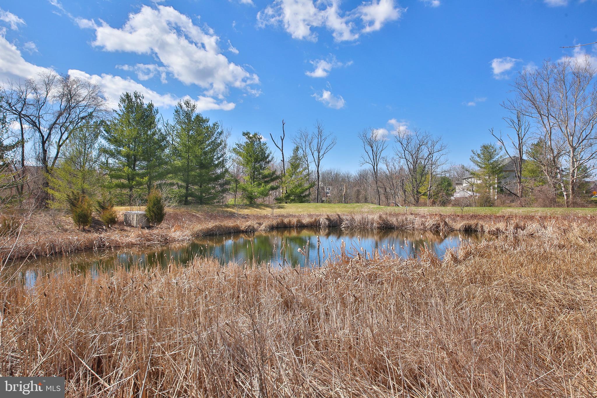 TH AT HERITAGE CNTR - Residential