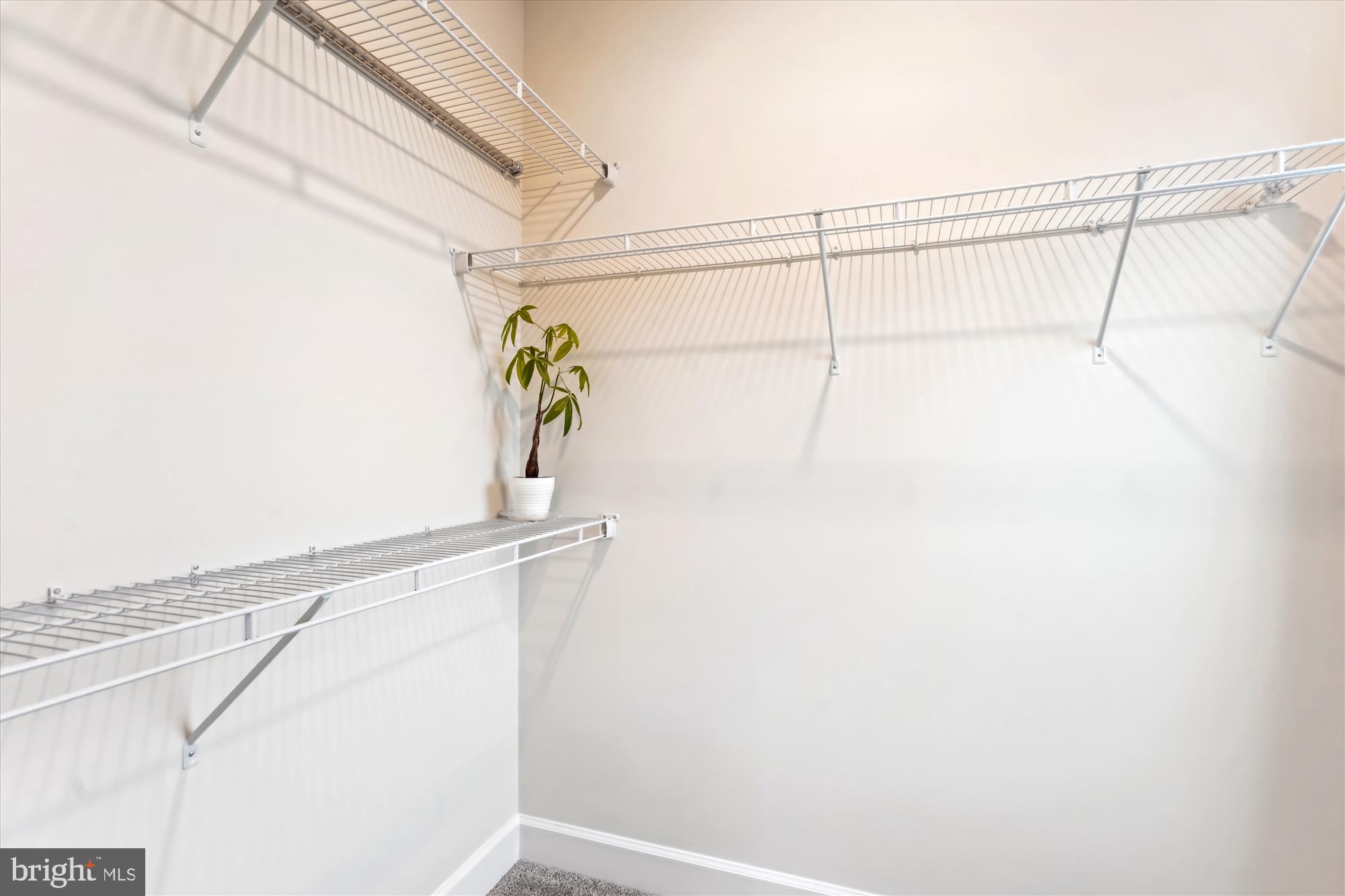 WILLOWSFORD - Residential